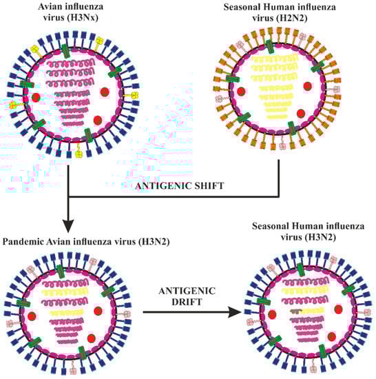 Vaccines 11 00593 g004