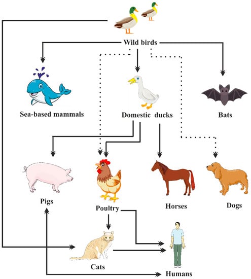 Vaccines 11 00593 g005