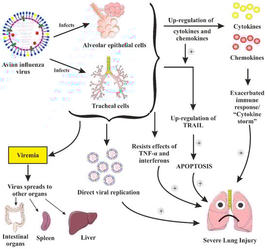 Vaccines 11 00593 g006