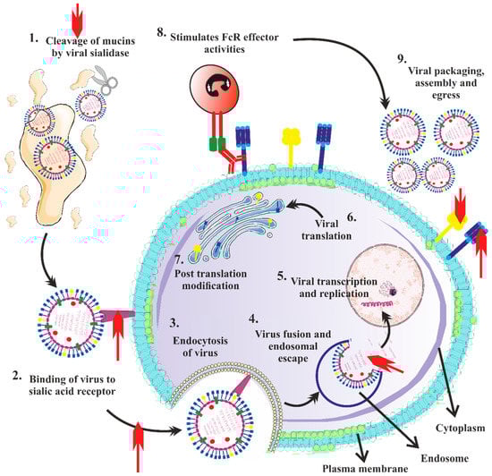 Vaccines 11 00593 g009