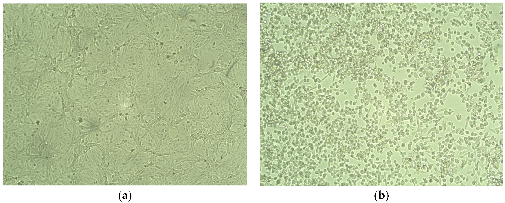 Vaccines 11 00607 g001