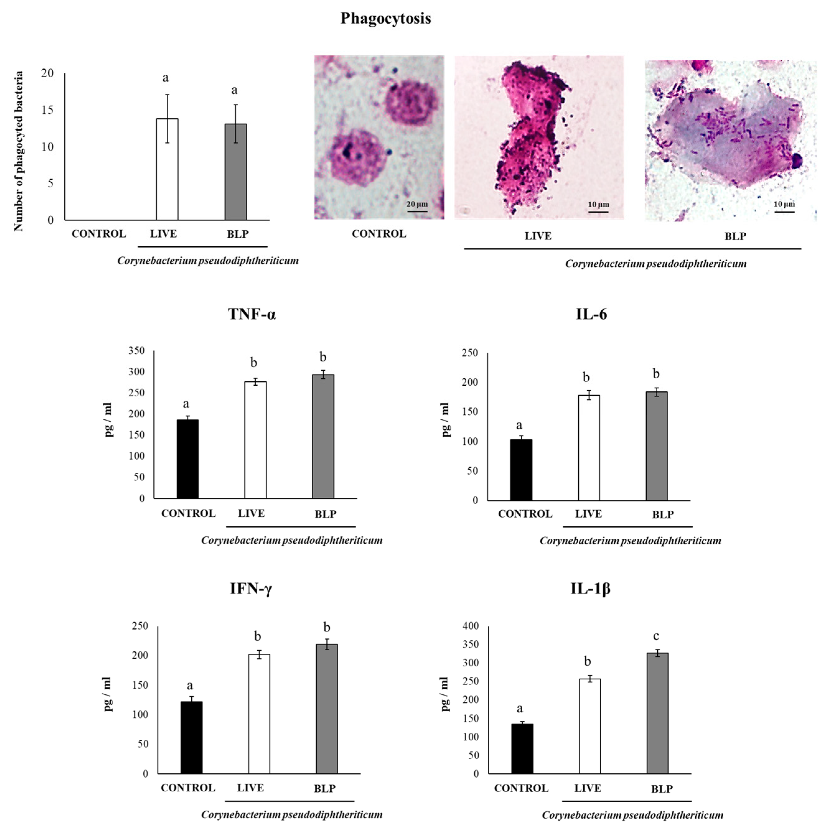 Vaccines 11 00611 g002