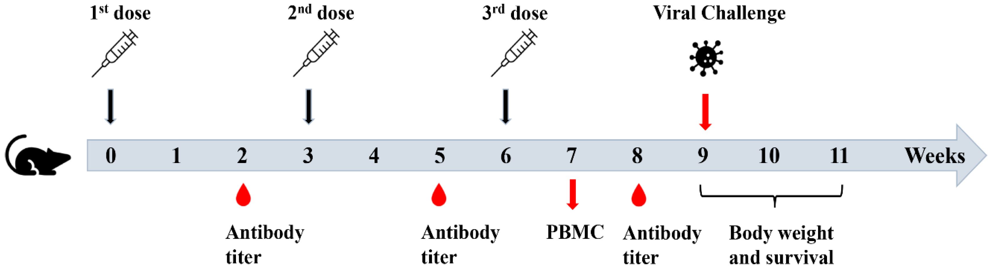 Vaccines 11 00649 g002