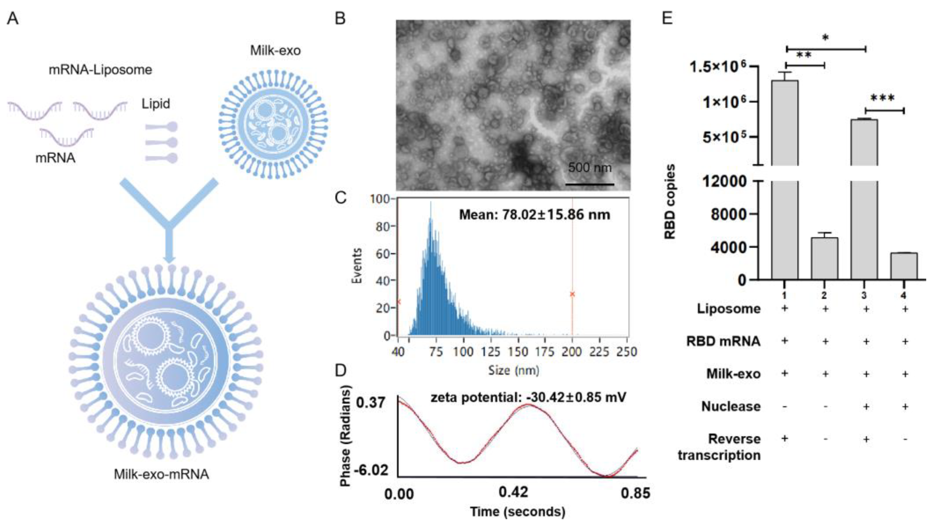 Vaccines 11 00673 g004
