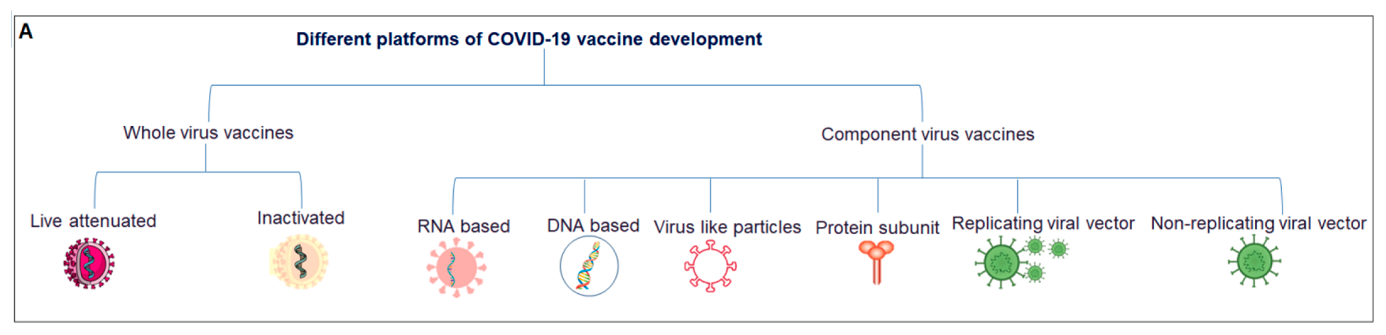 Vaccines 11 00682 g003a
