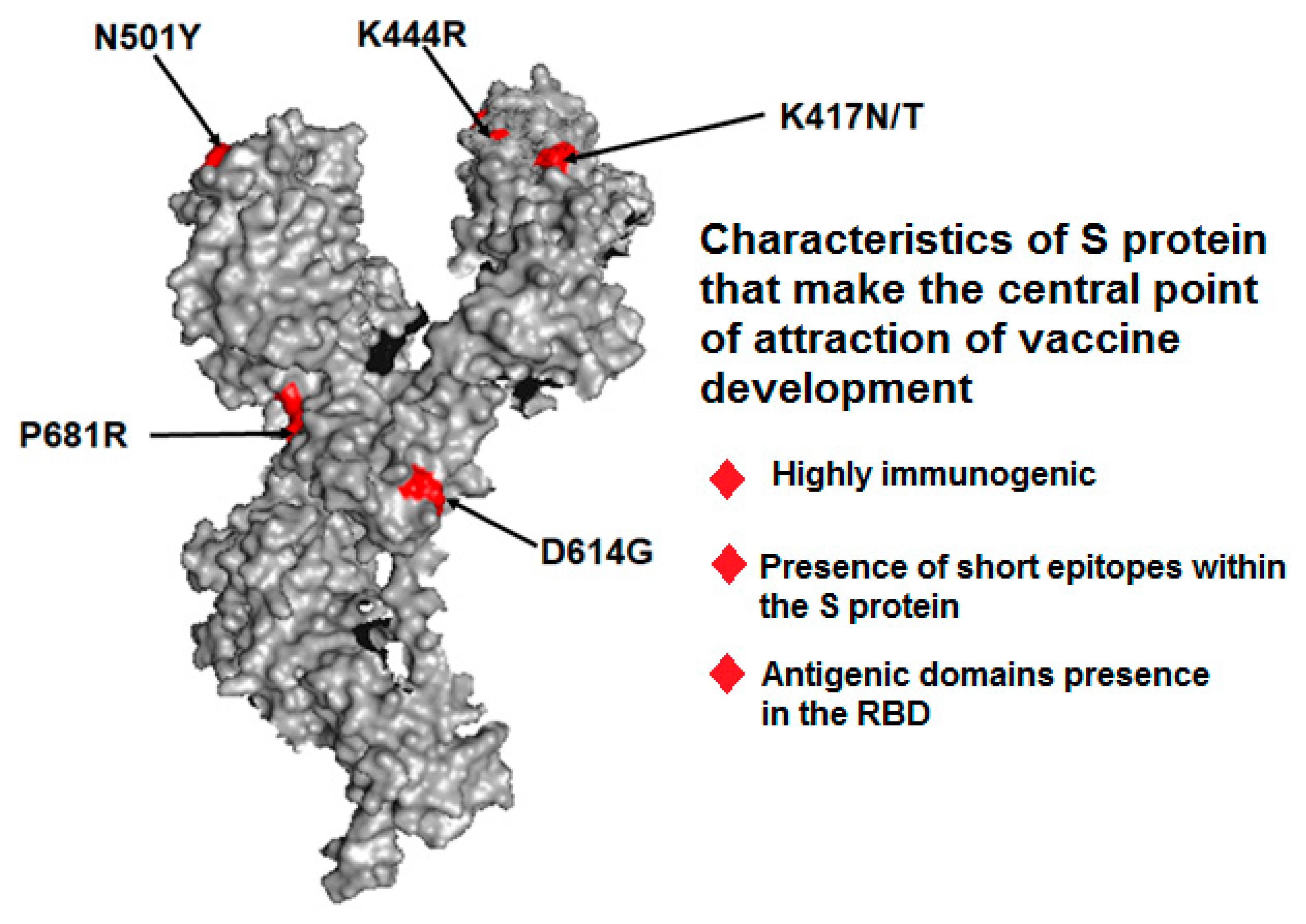 Vaccines 11 00682 g004