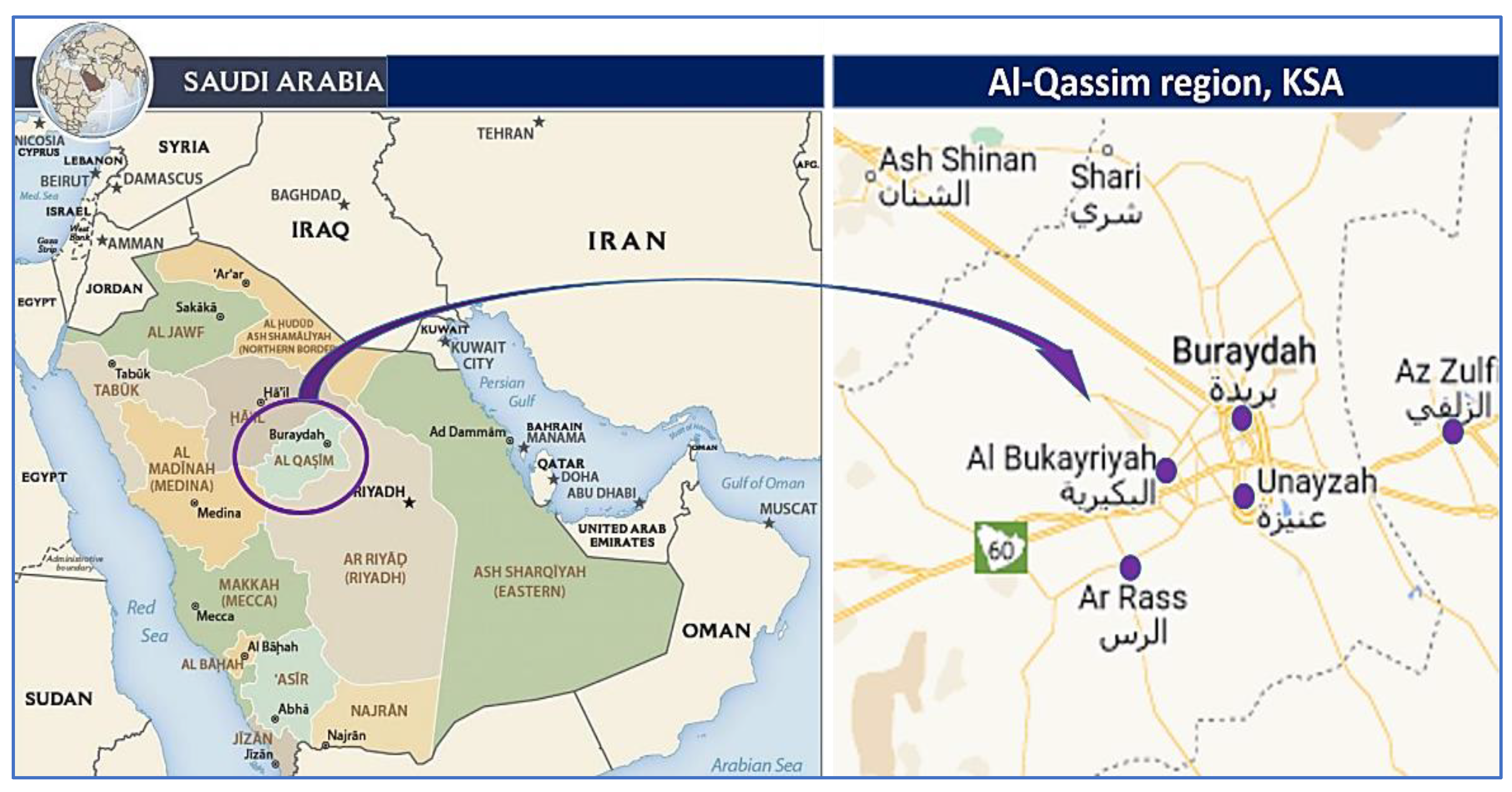 Vaccines 11 00694 g001