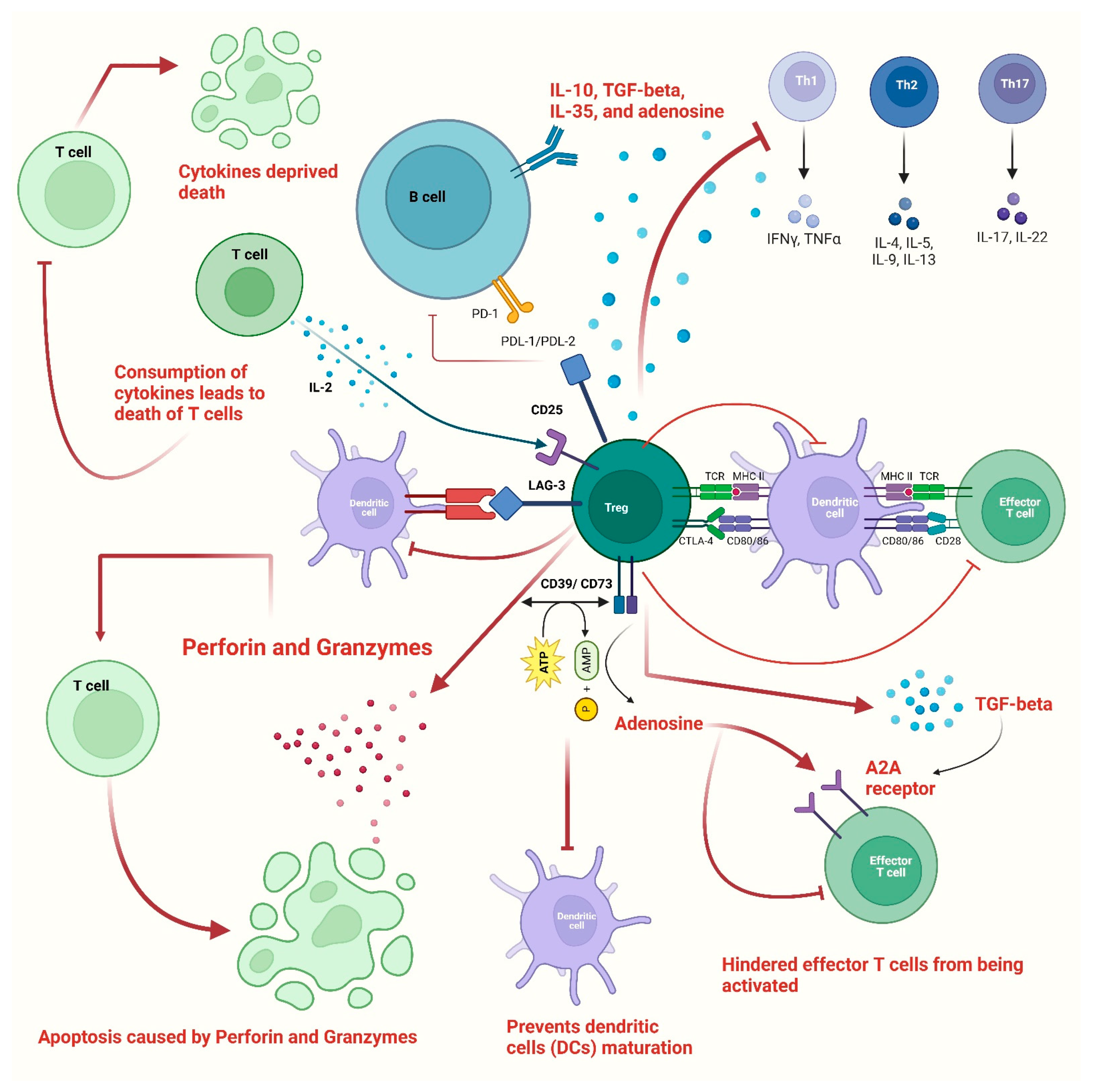 Vaccines 11 00699 g002