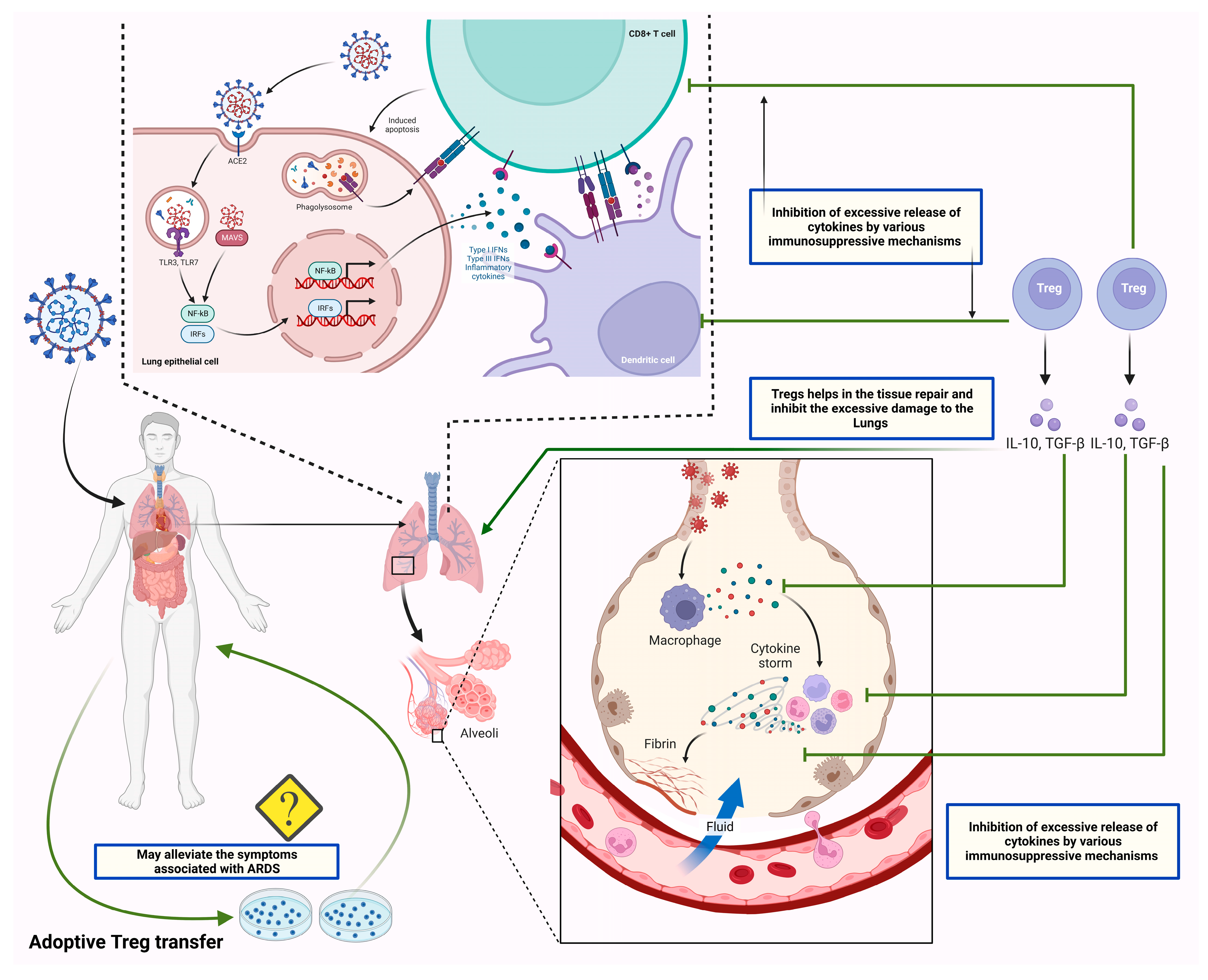 Vaccines 11 00699 g004