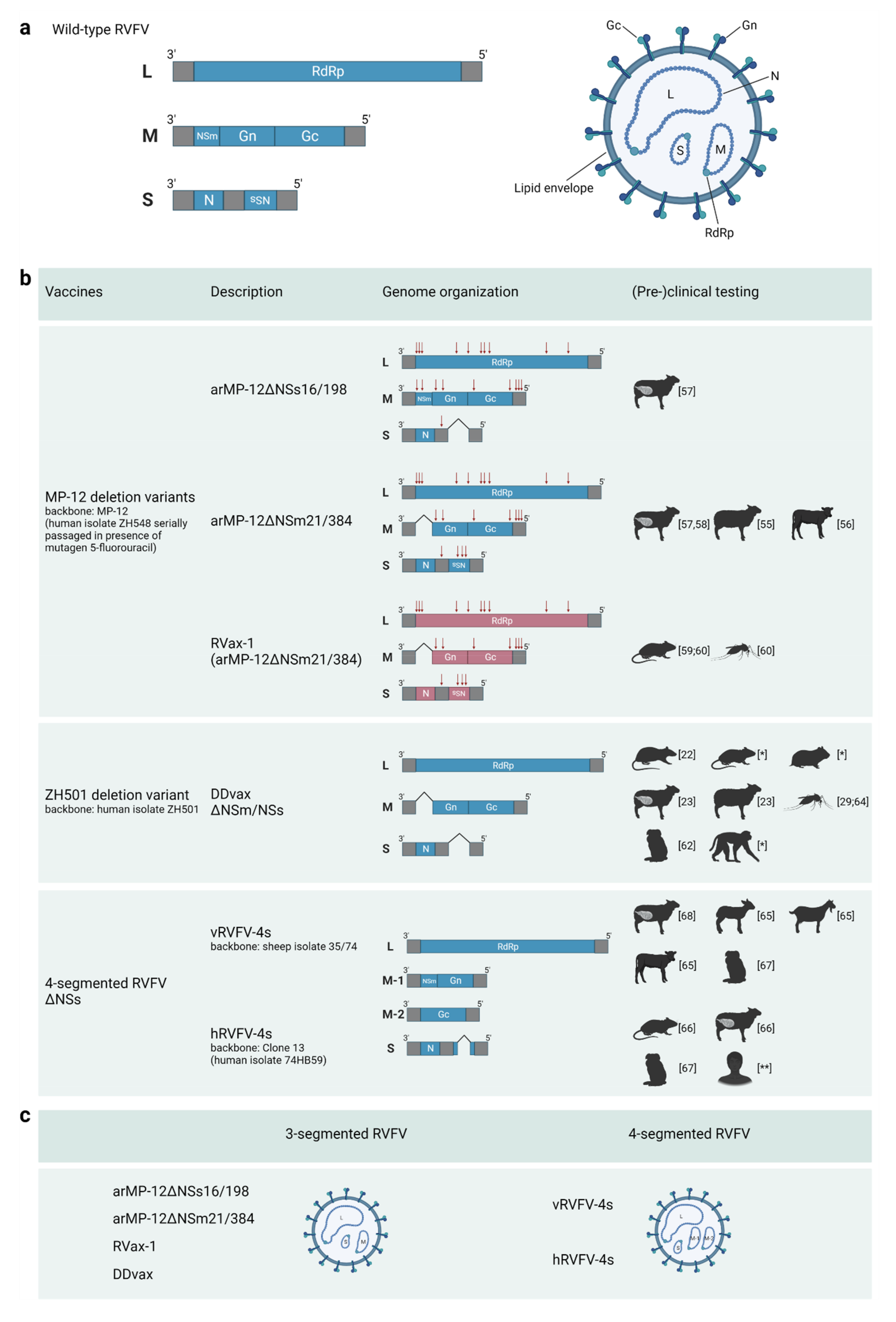 Vaccines 11 00707 g001