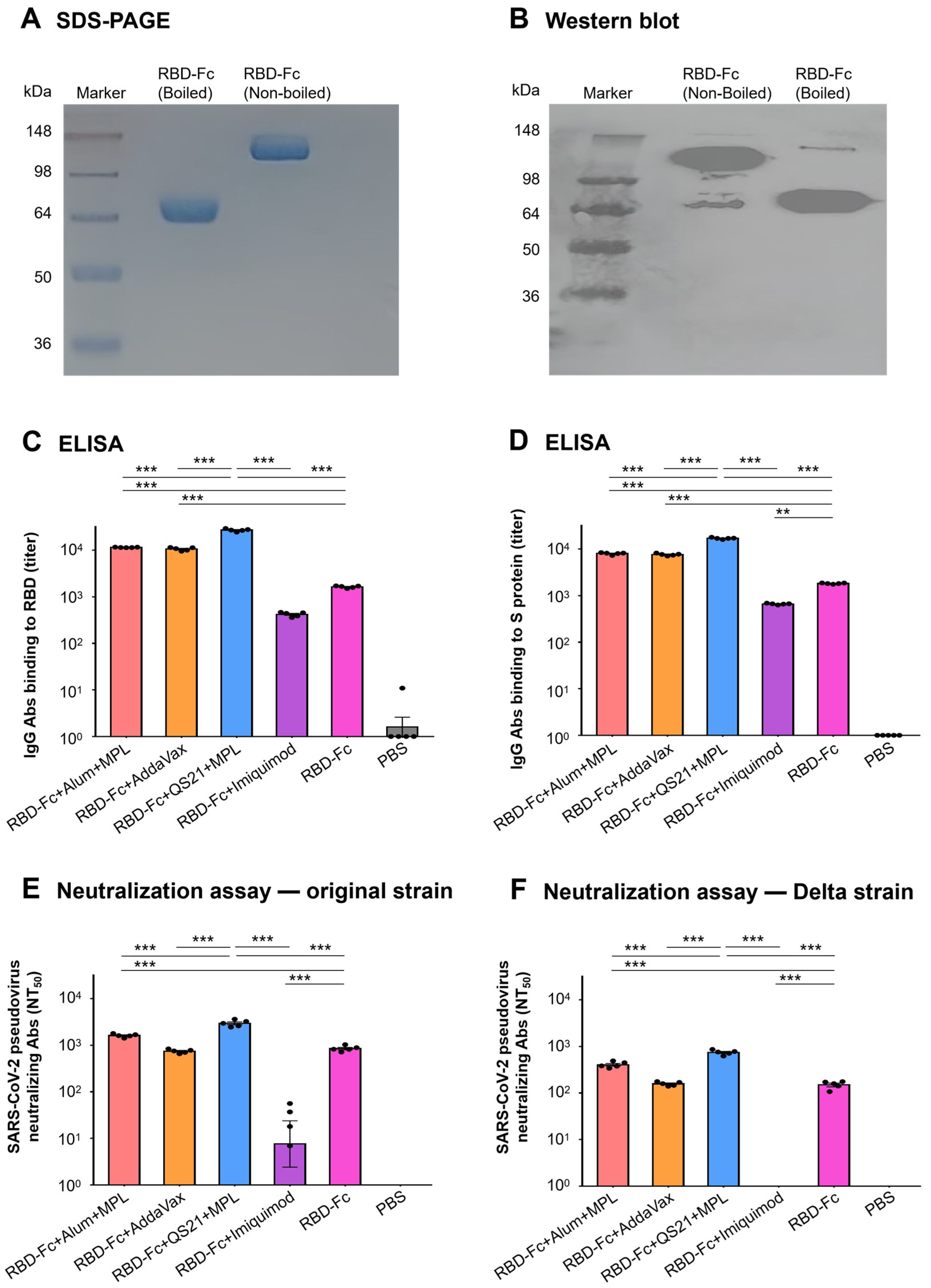 Vaccines 11 00713 g001 Vaccines 11 00713 g001