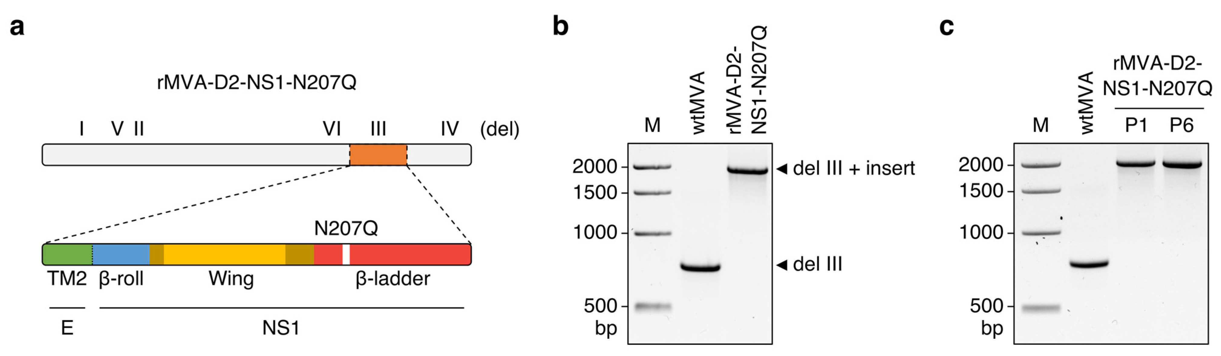 Vaccines 11 00714 g001