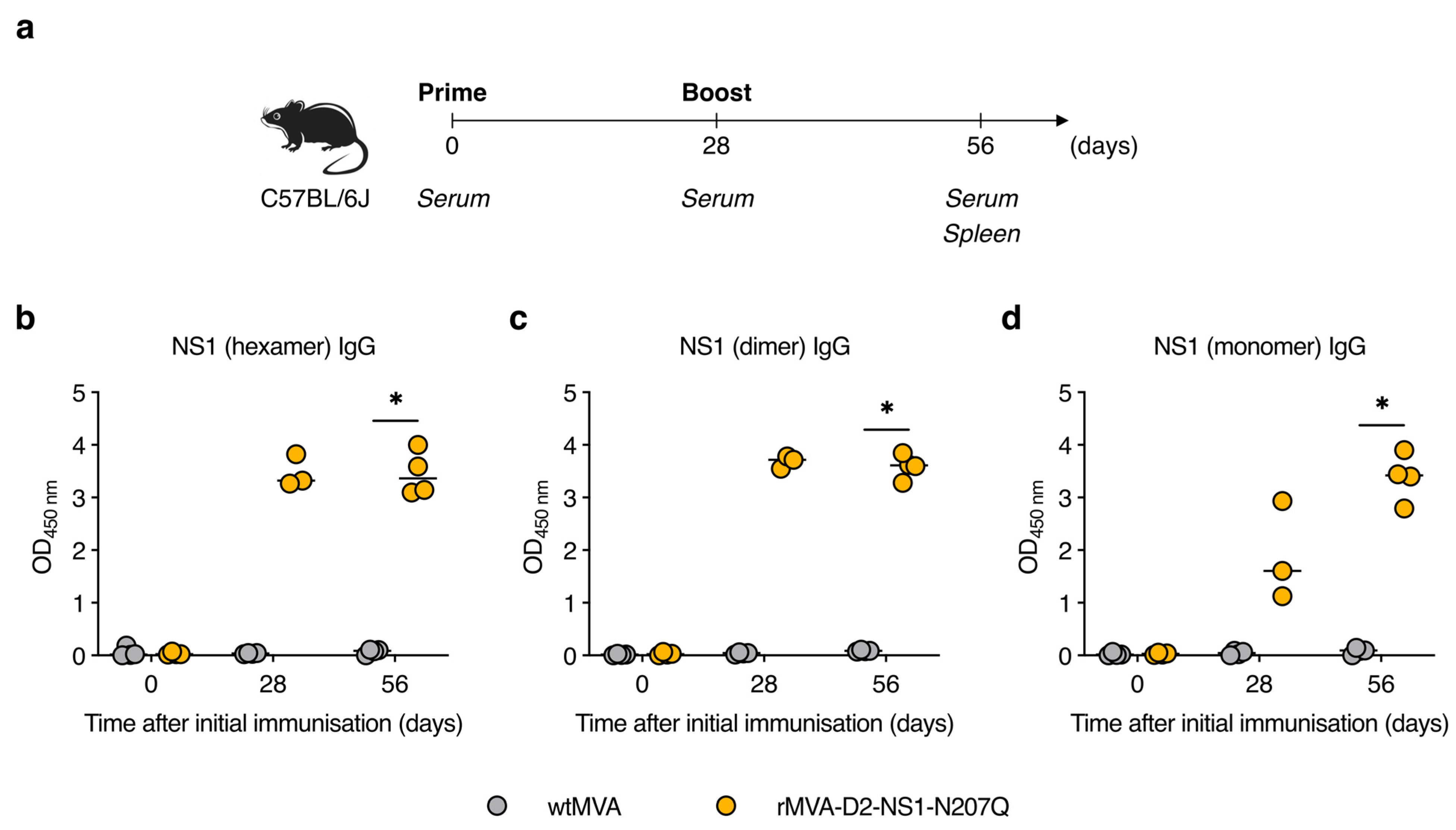 Vaccines 11 00714 g003