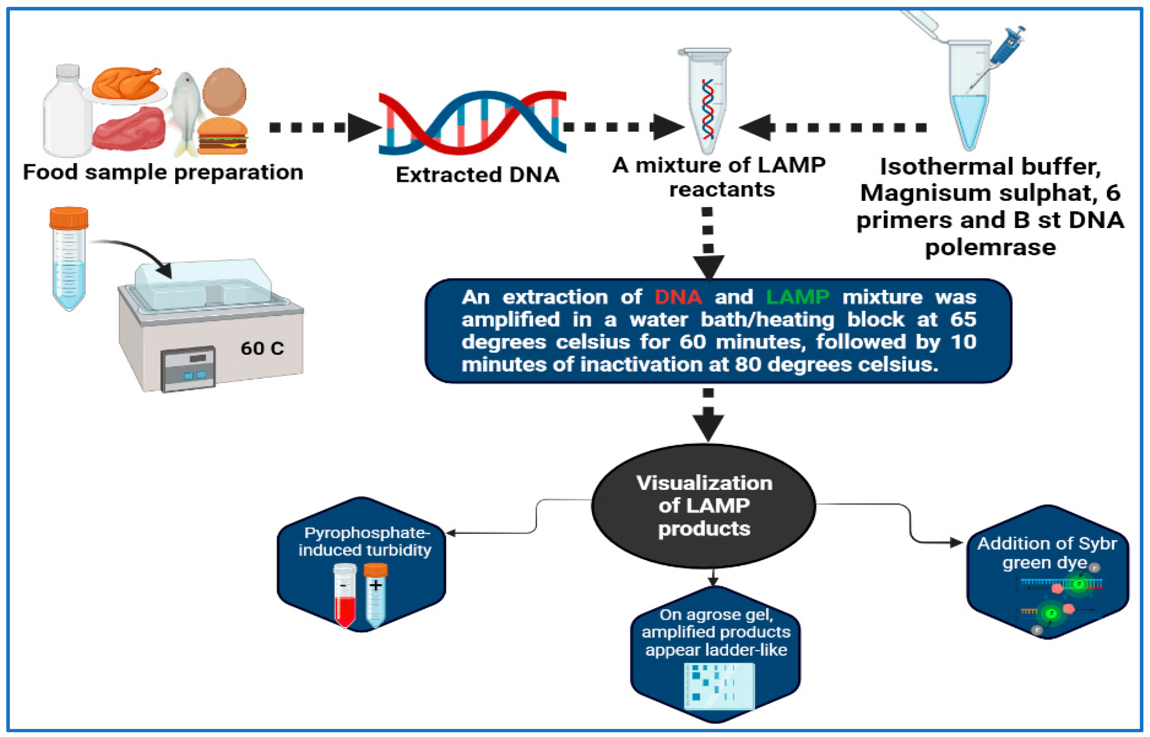Vaccines 11 00725 g002