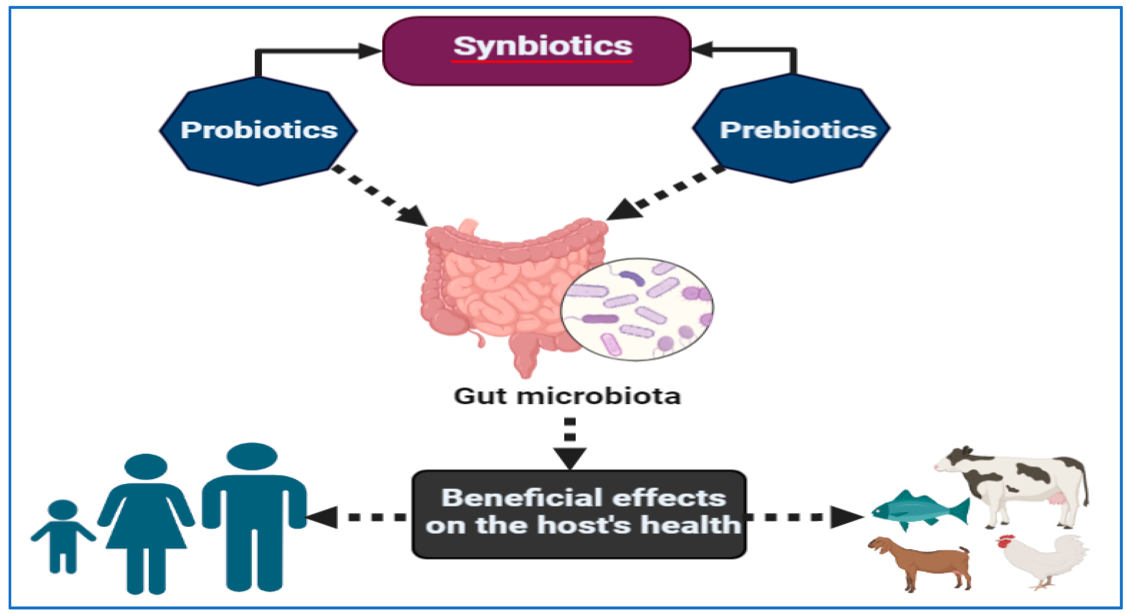 Vaccines 11 00725 g004