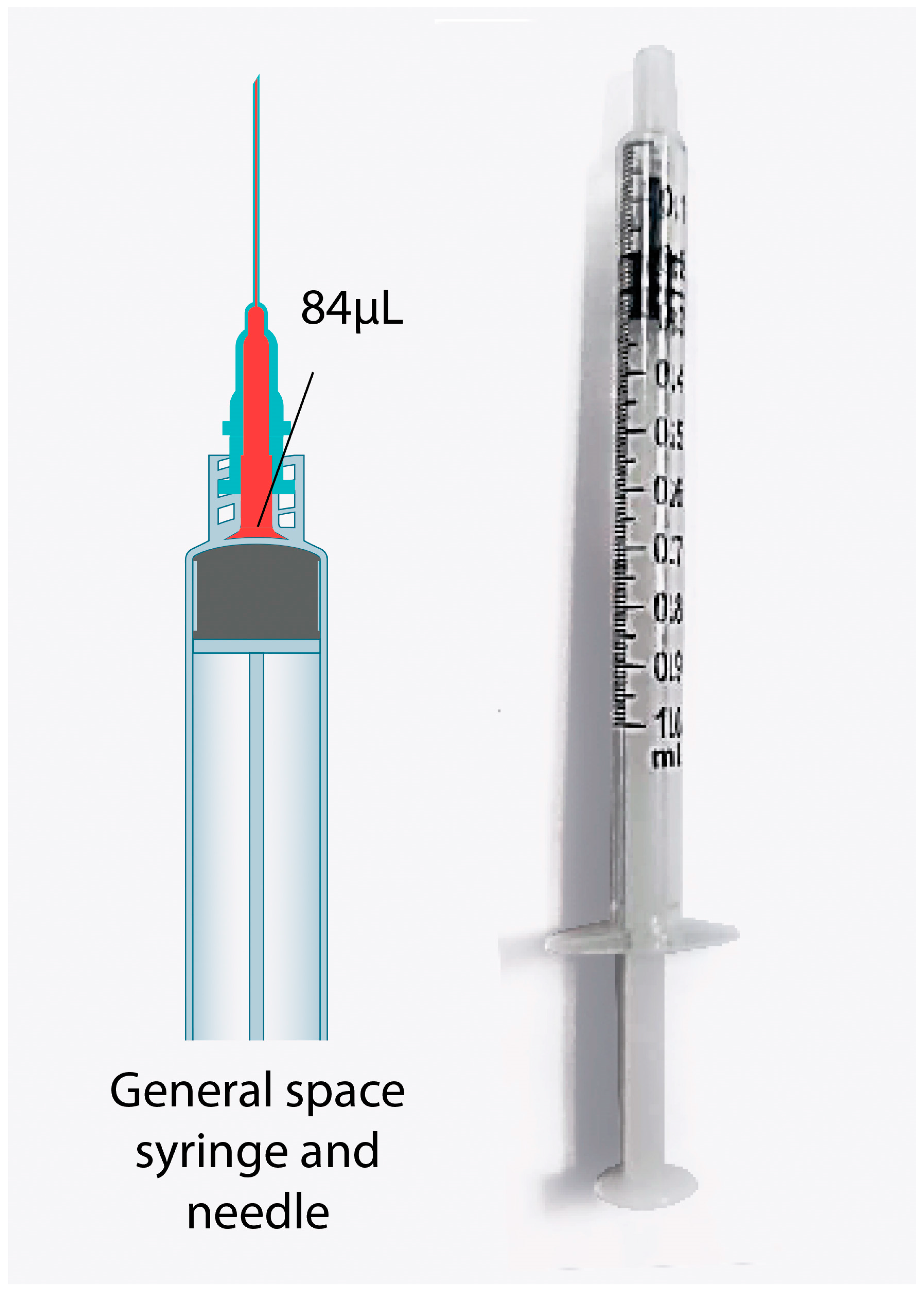 Vaccines 11 00741 g001 Vaccines 11 00741 g001
