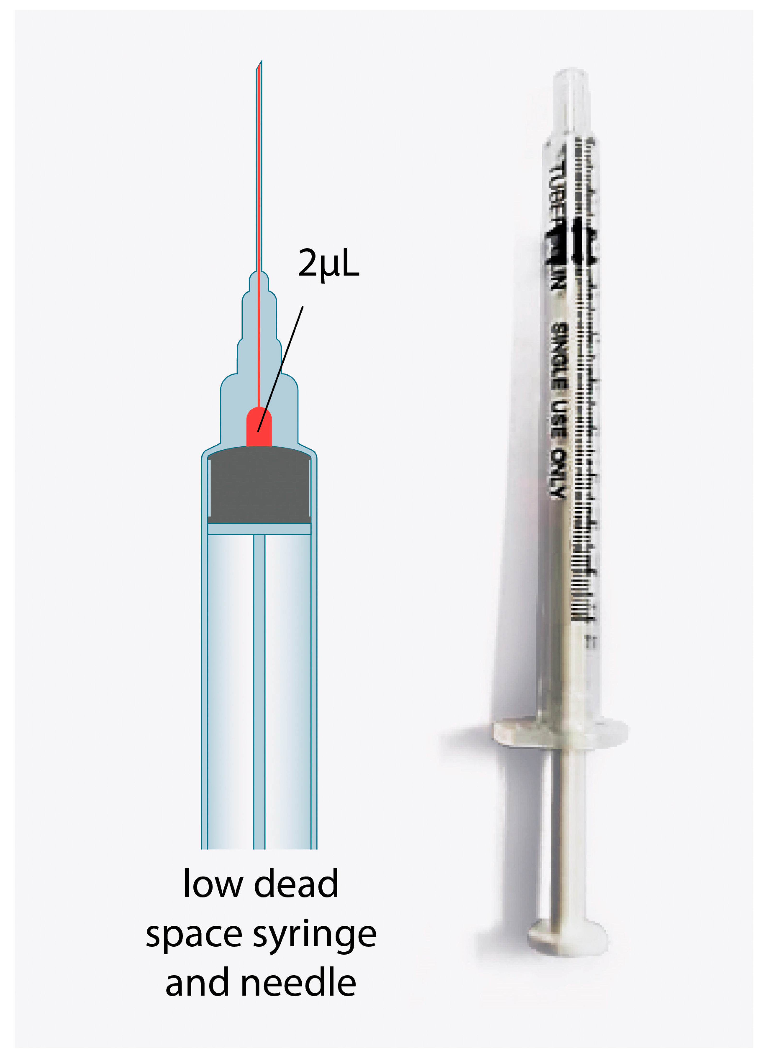 Vaccines 11 00741 g002 Vaccines 11 00741 g002