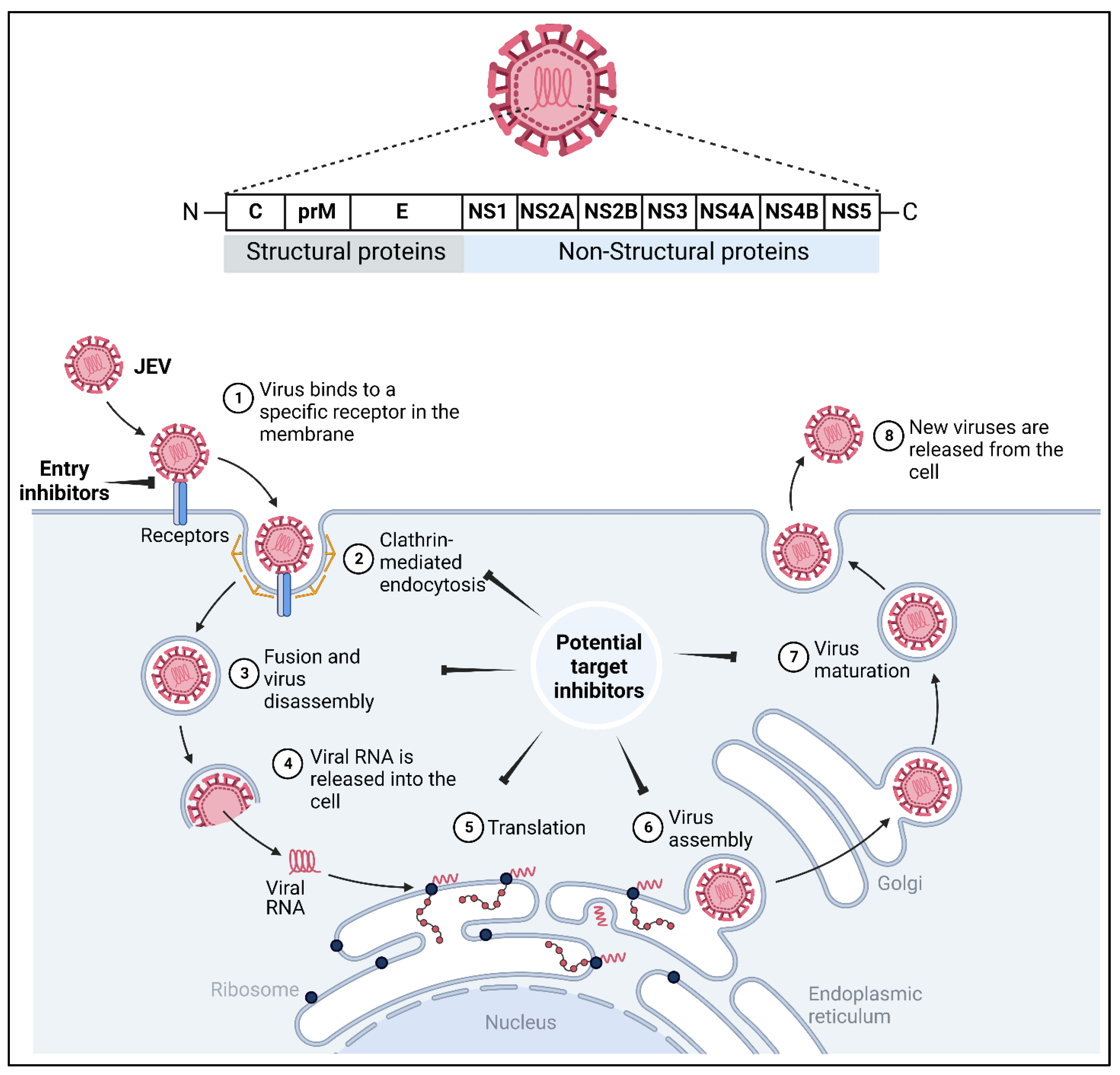 Vaccines 11 00742 g004
