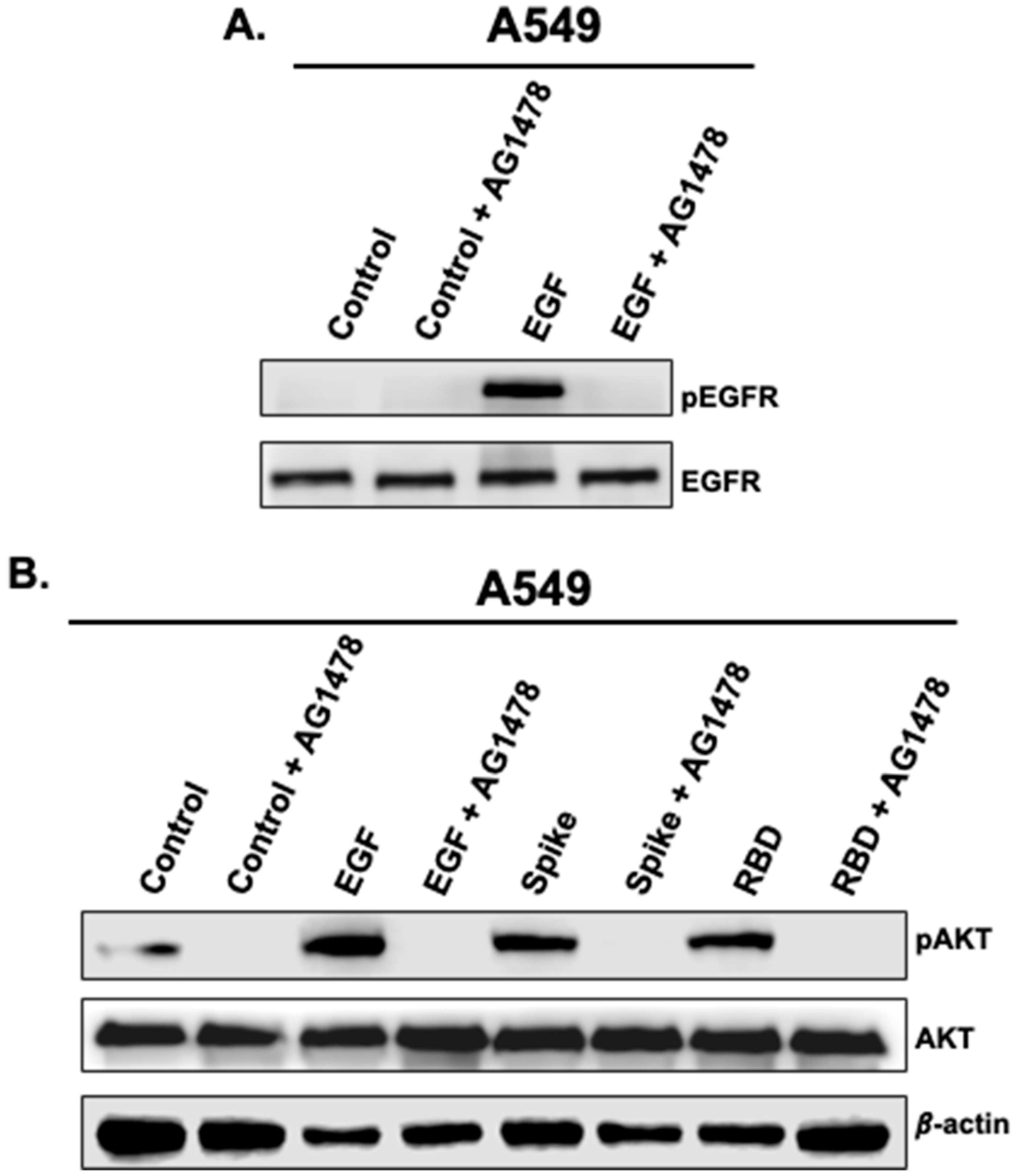 Vaccines 11 00768 g003 Vaccines 11 00768 g003