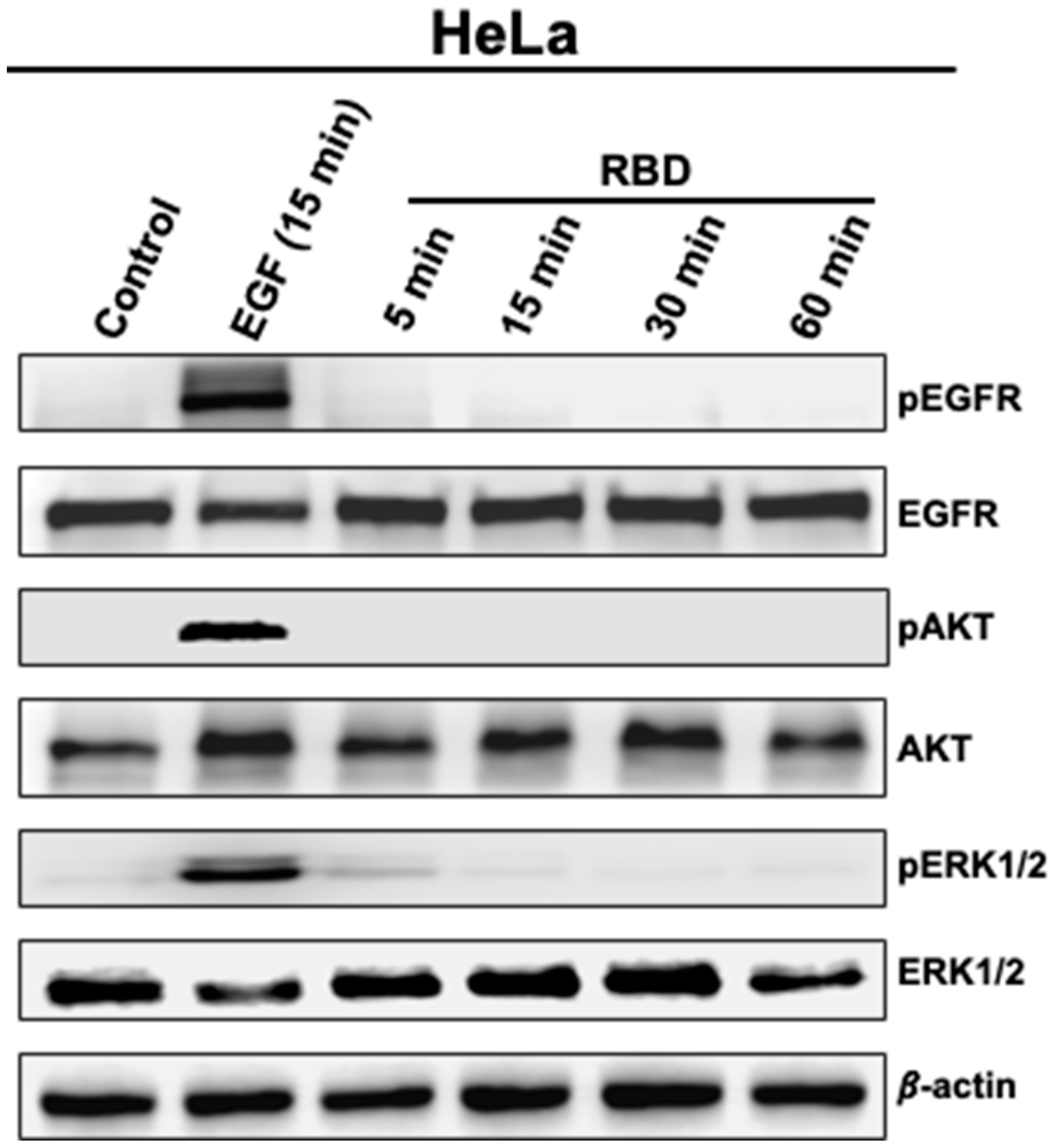 Vaccines 11 00768 g004 Vaccines 11 00768 g004