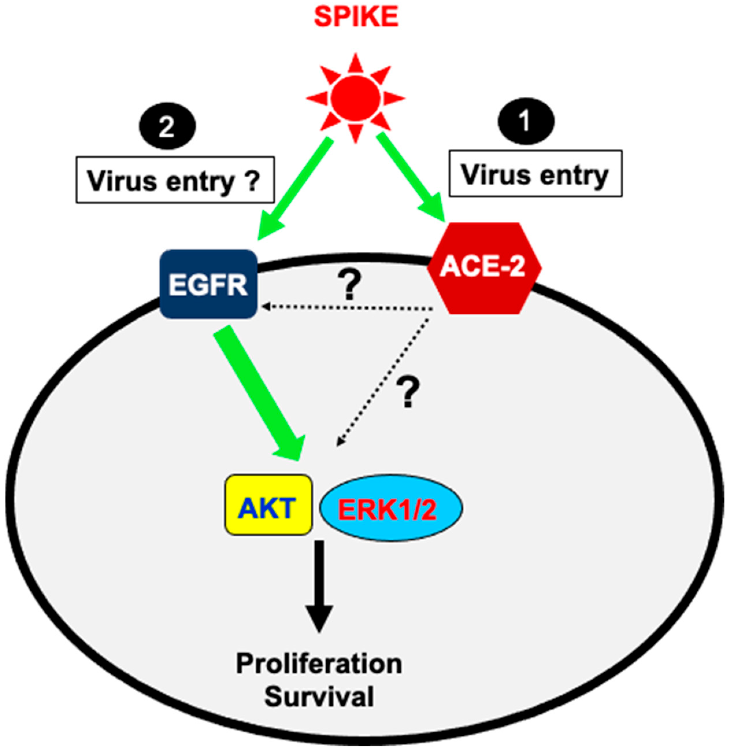 Vaccines 11 00768 g006 Vaccines 11 00768 g006