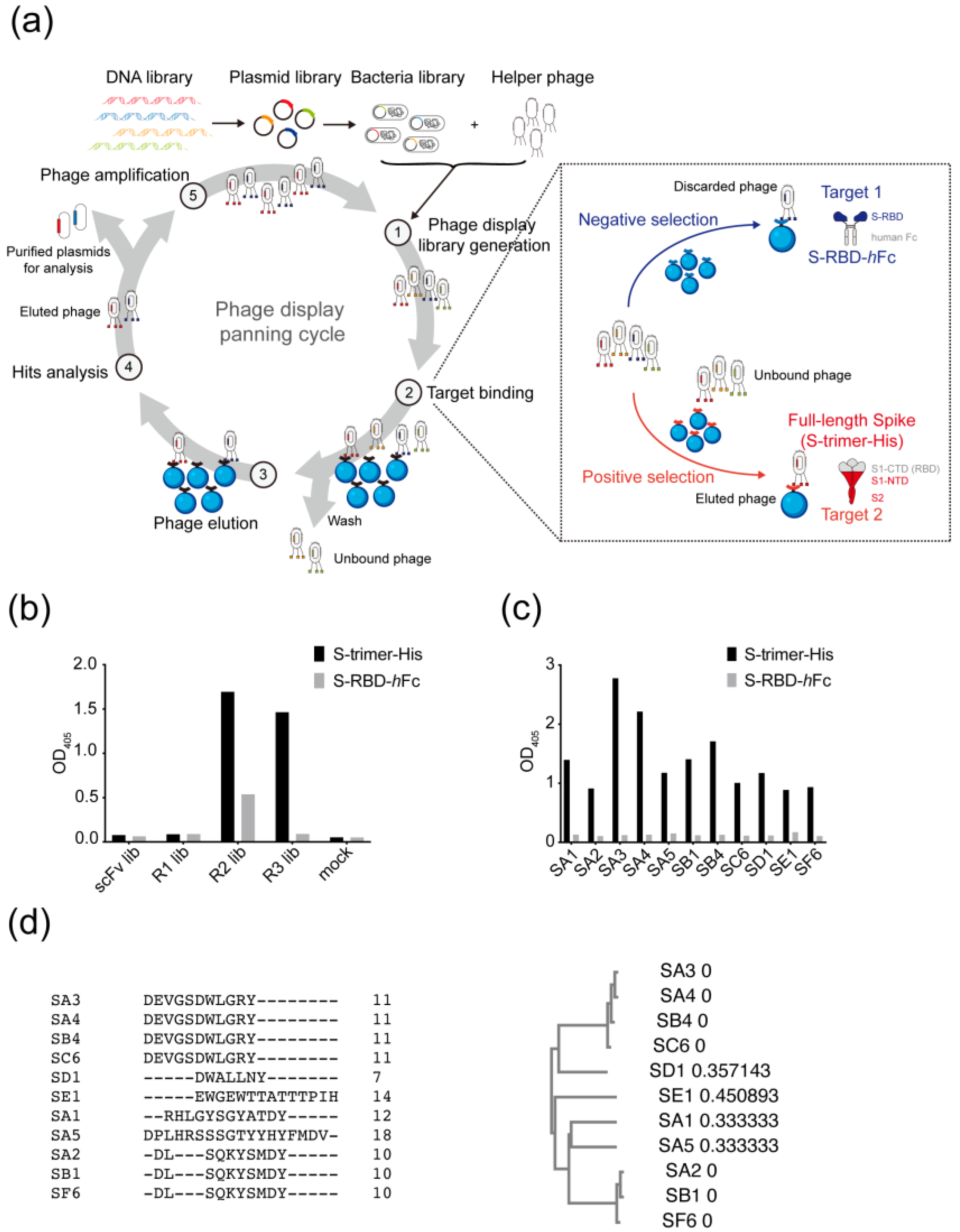 Vaccines 11 00771 g001