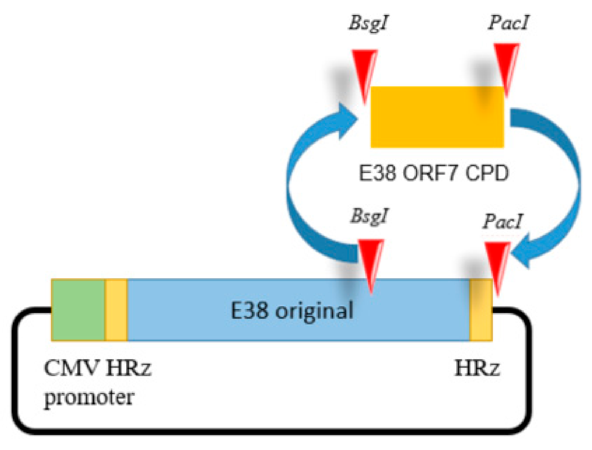 Vaccines 11 00777 g001