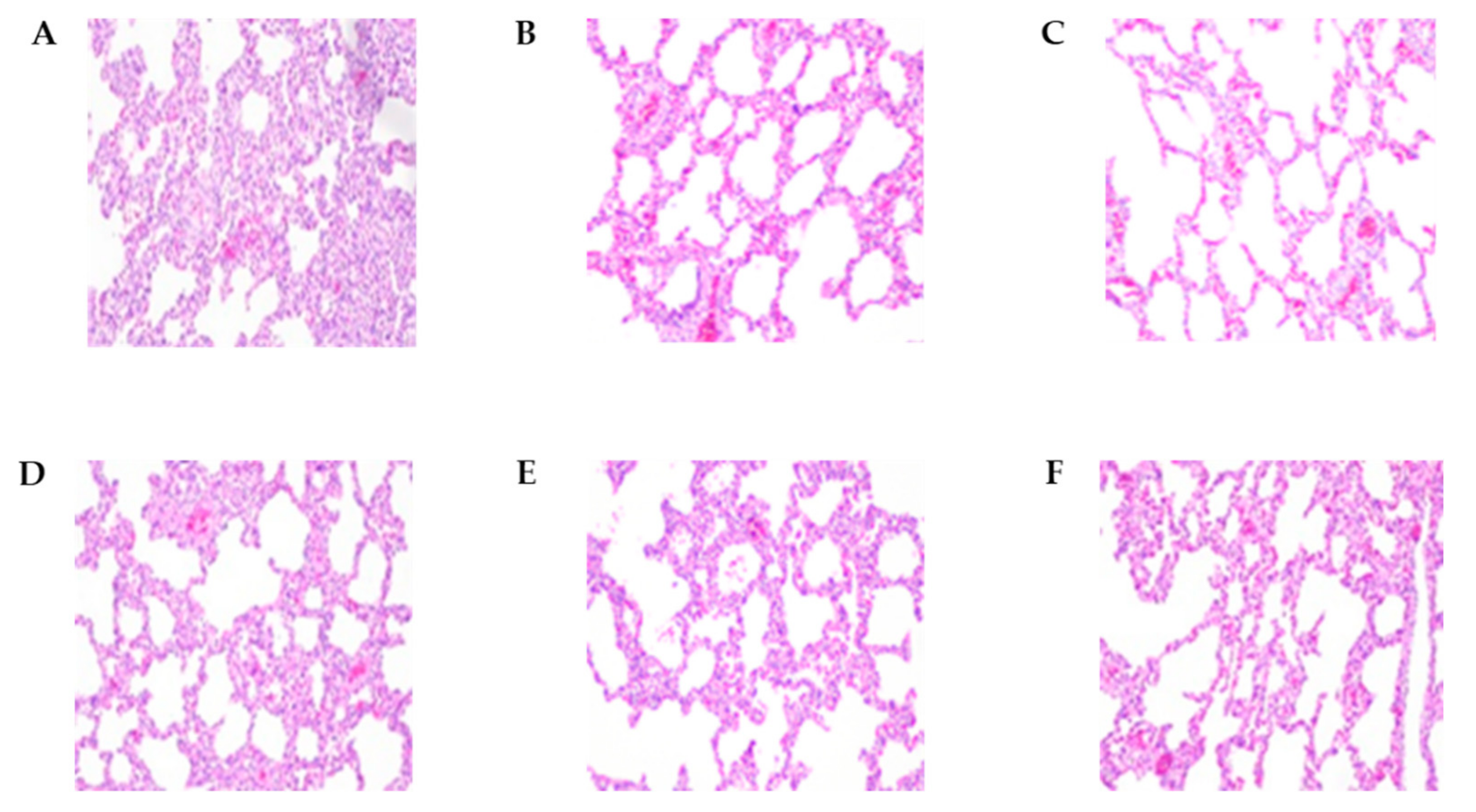 Vaccines 11 00777 g004