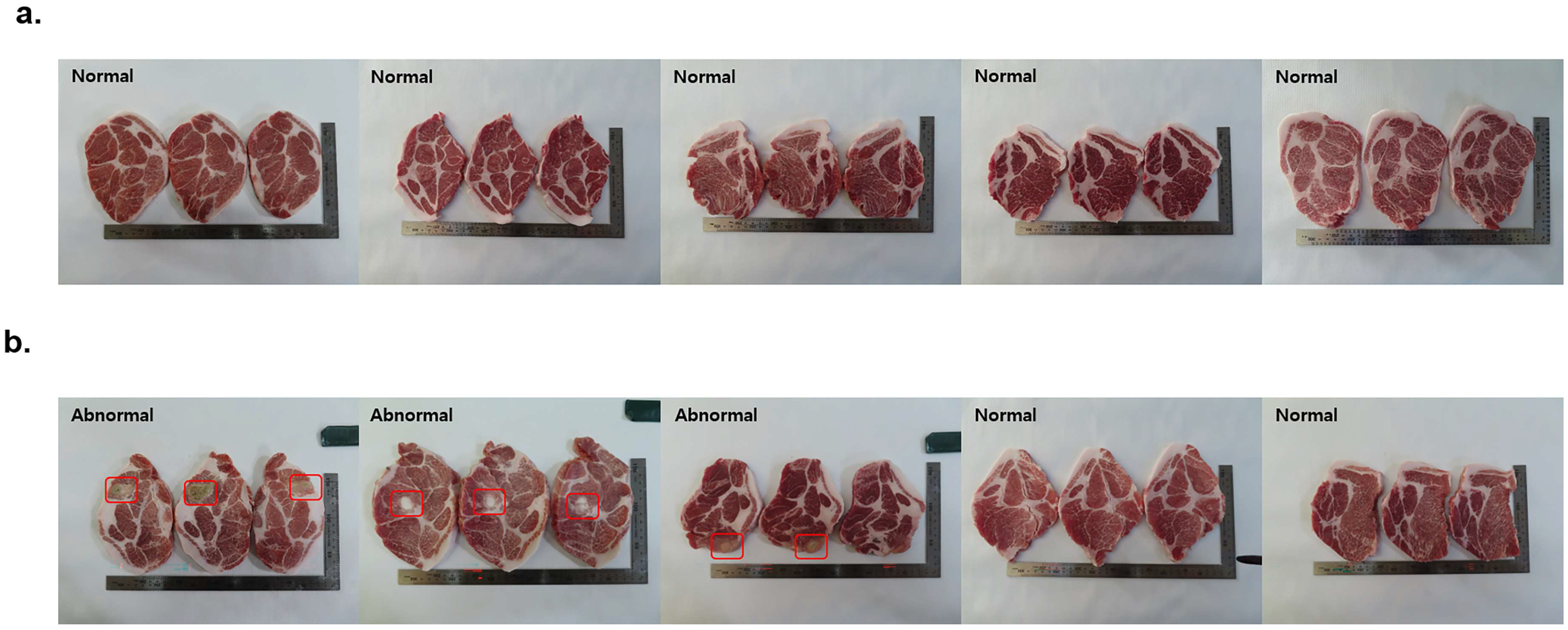 Vaccines 11 00815 g006 Vaccines 11 00815 g006