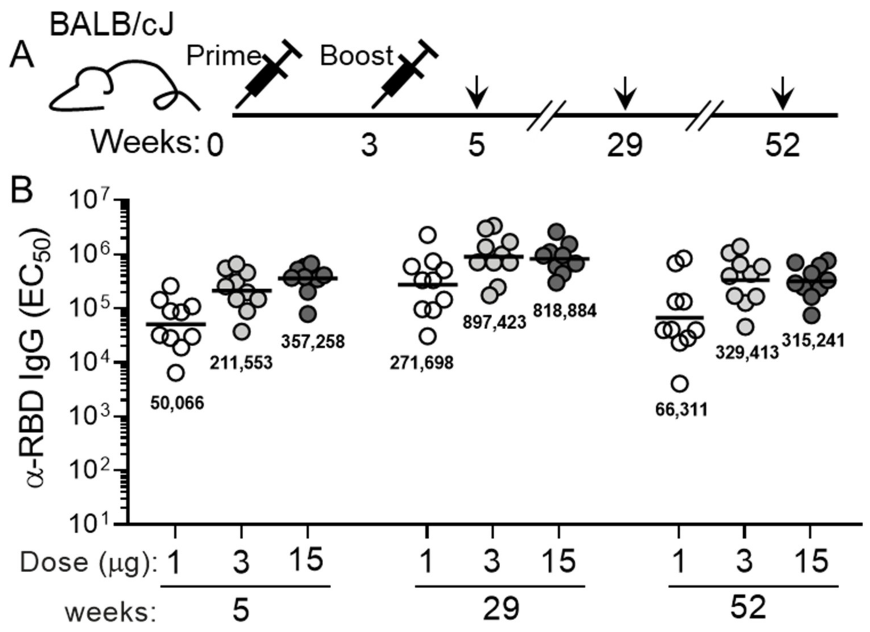 Vaccines 11 00832 g002