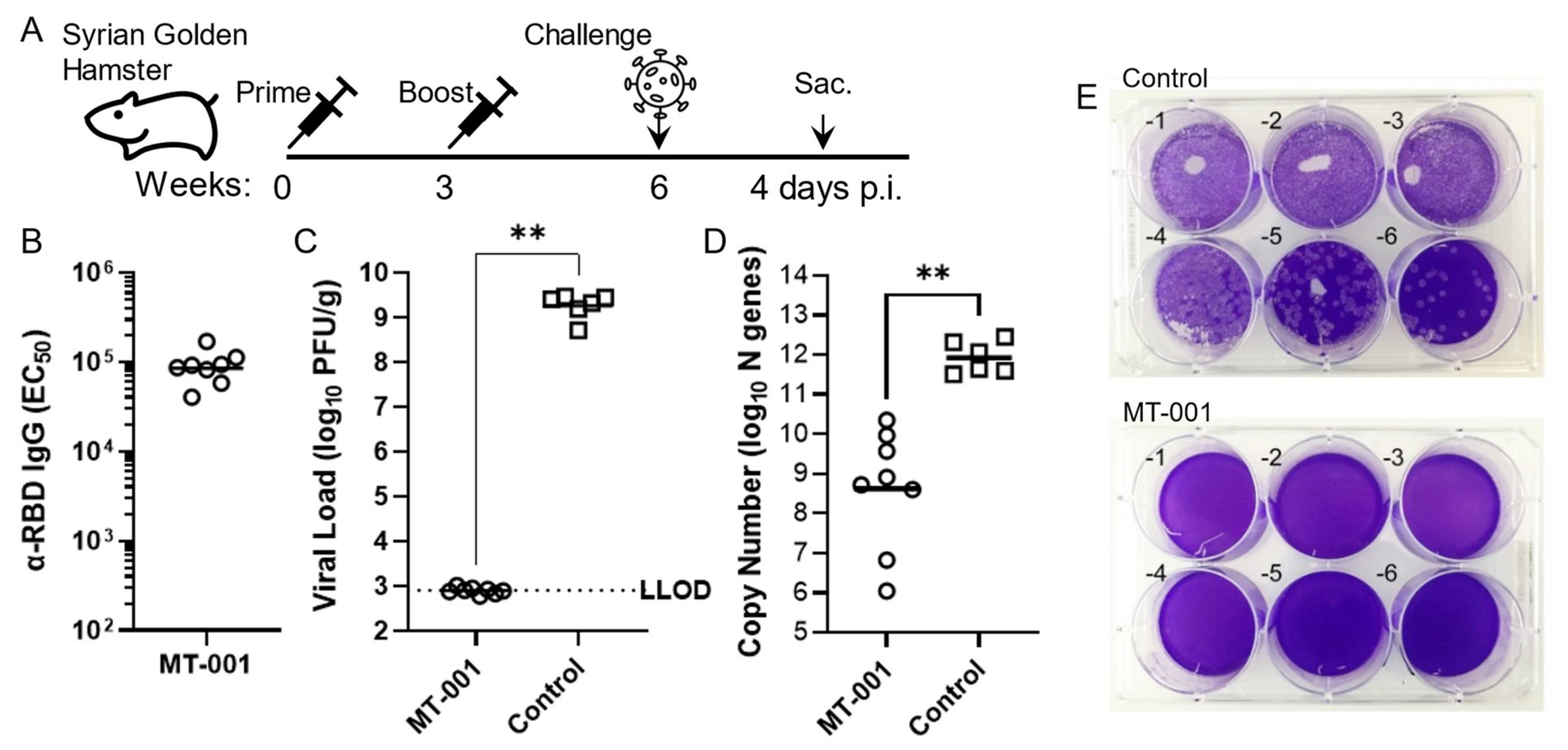 Vaccines 11 00832 g004