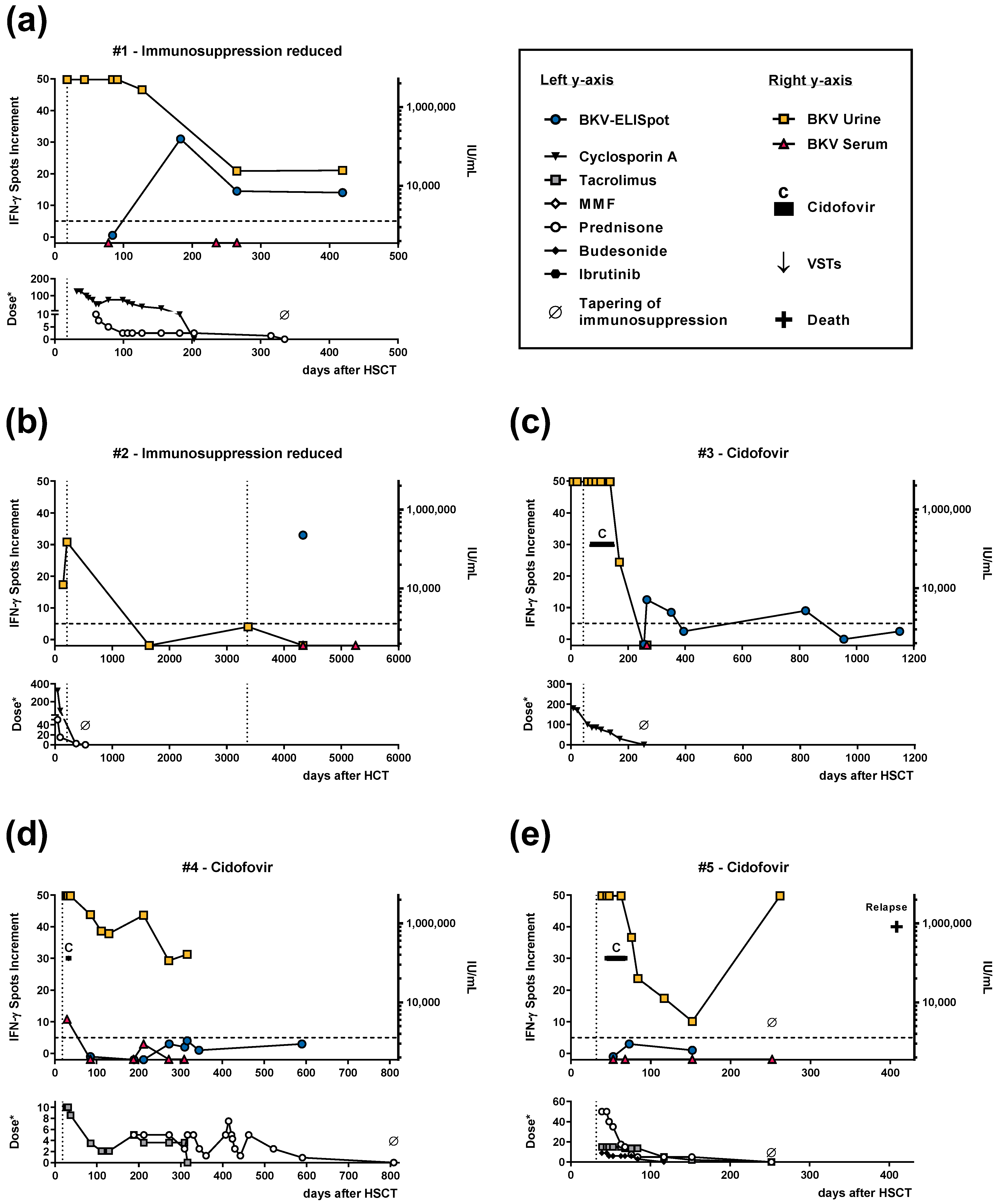 Vaccines 11 00845 g001a