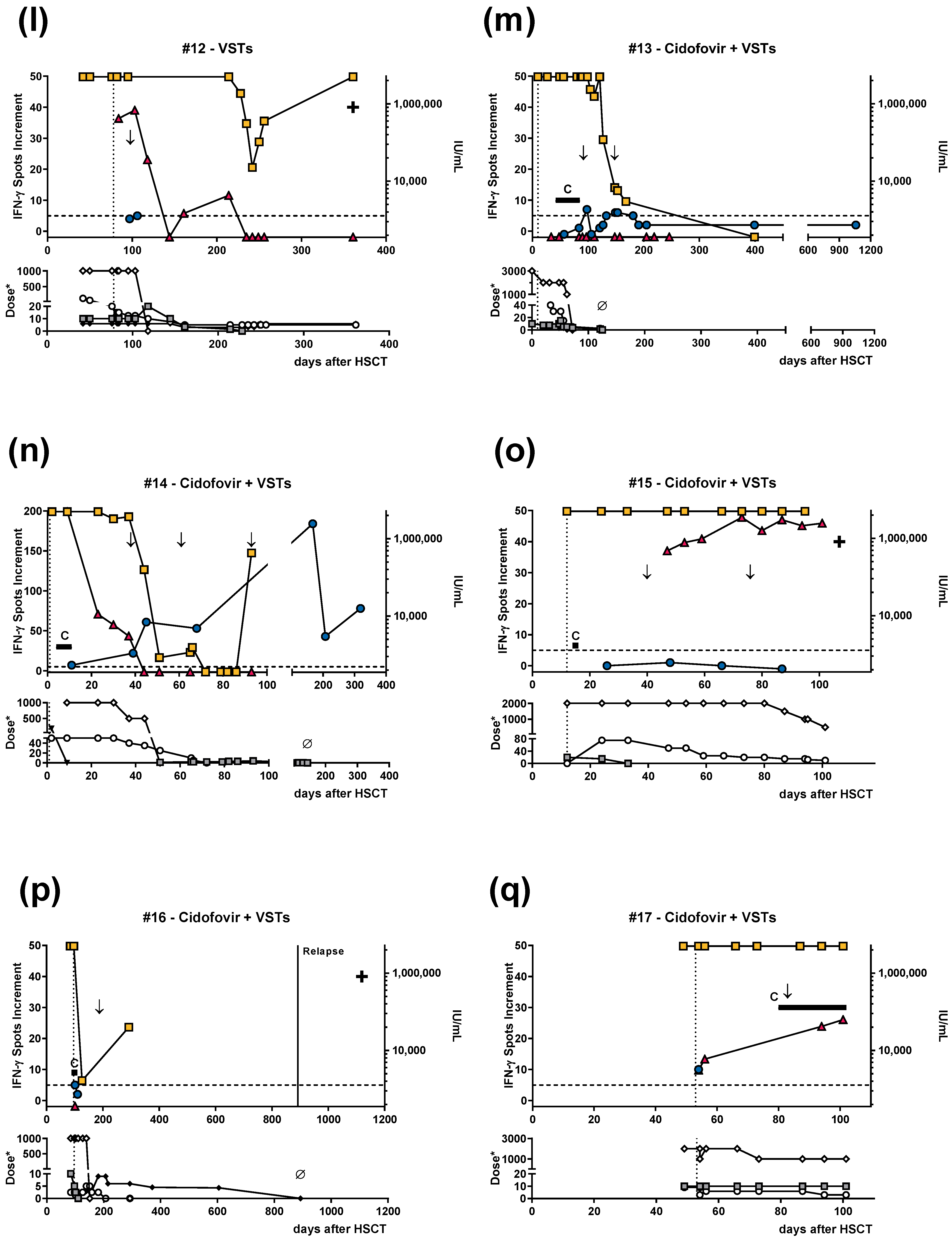 Vaccines 11 00845 g001c