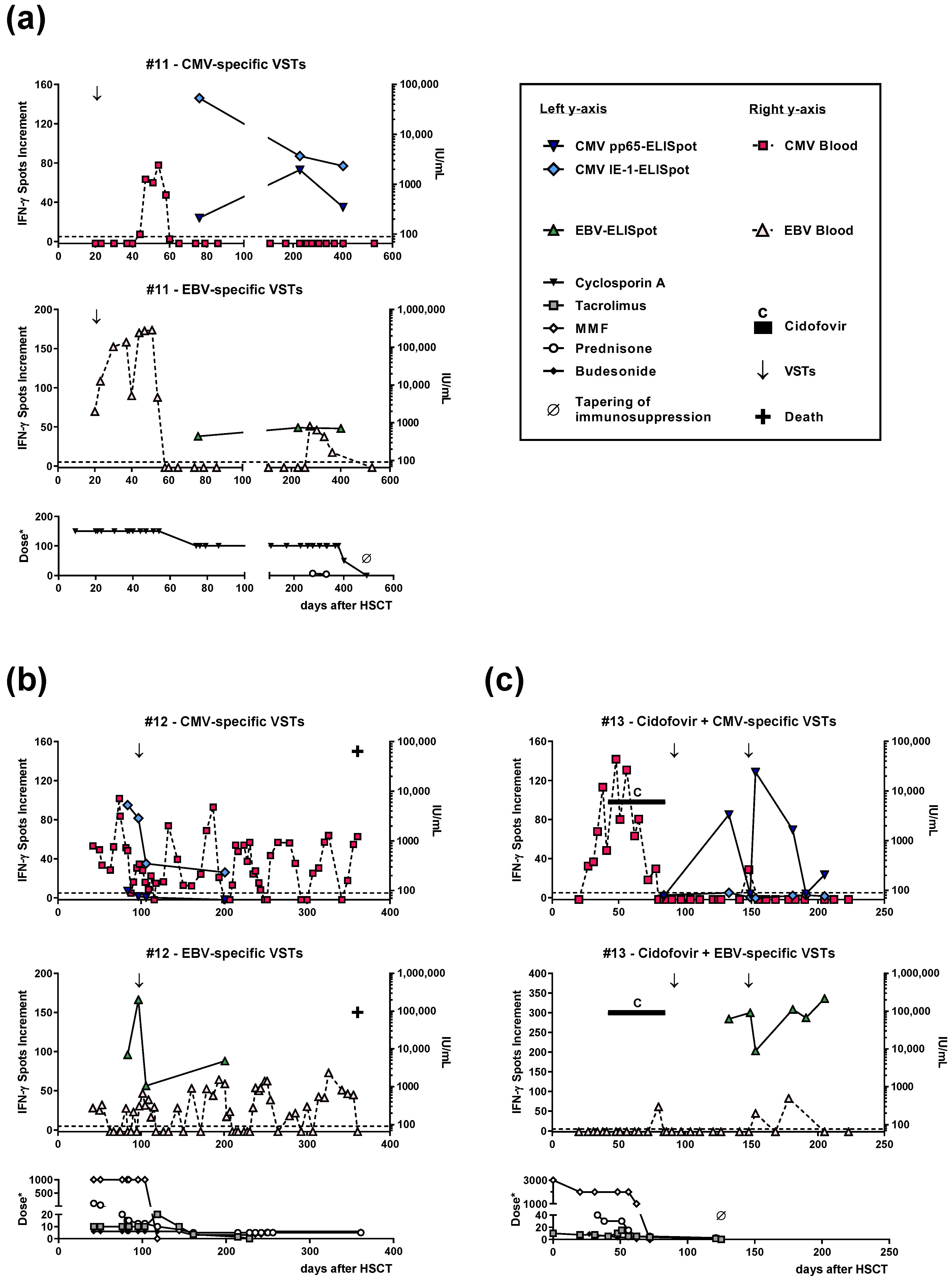 Vaccines 11 00845 g002