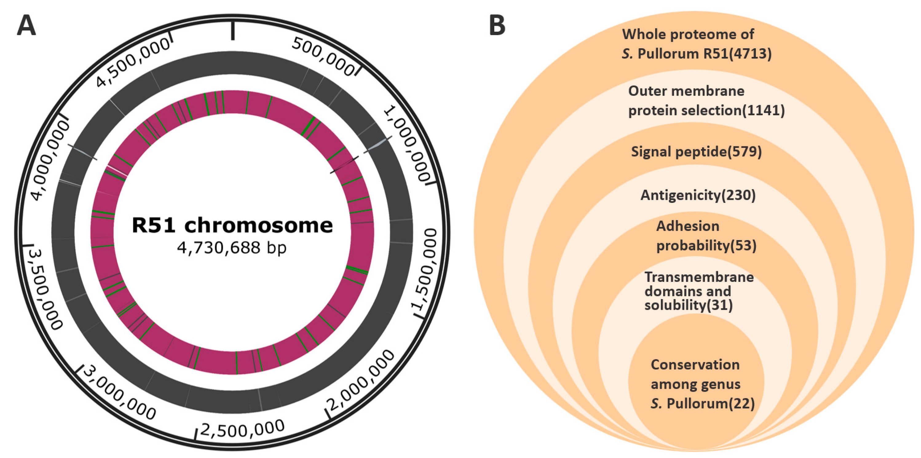 Vaccines 11 00865 g002