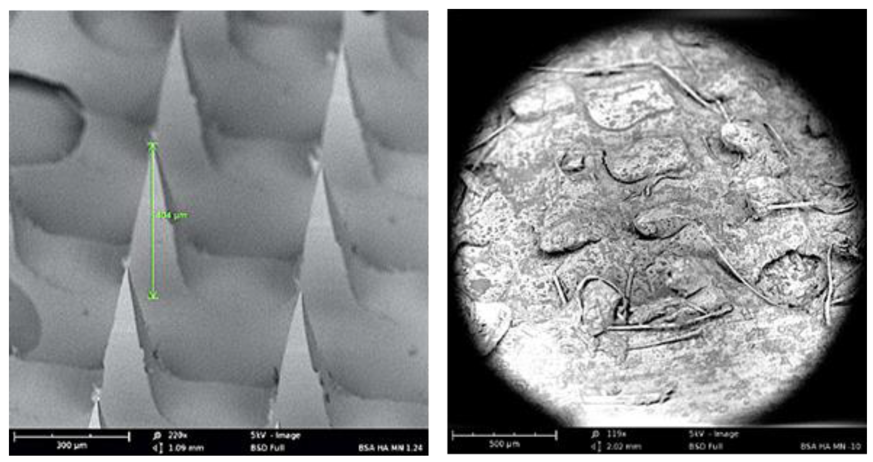 Vaccines 11 00866 g001 Vaccines 11 00866 g001