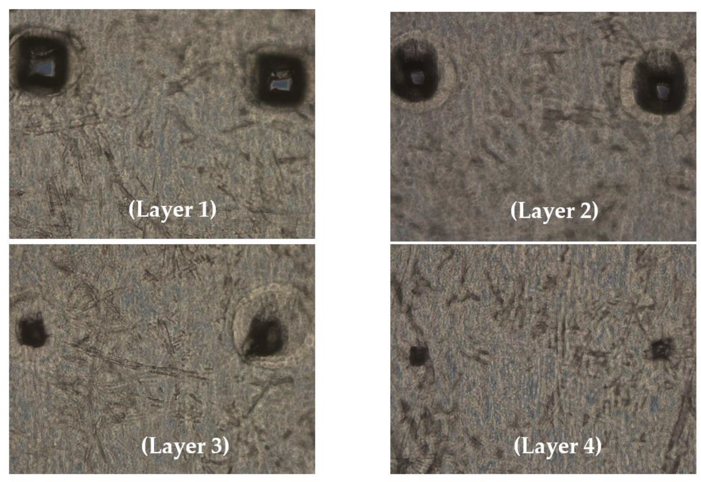 Vaccines 11 00866 g002 Vaccines 11 00866 g002