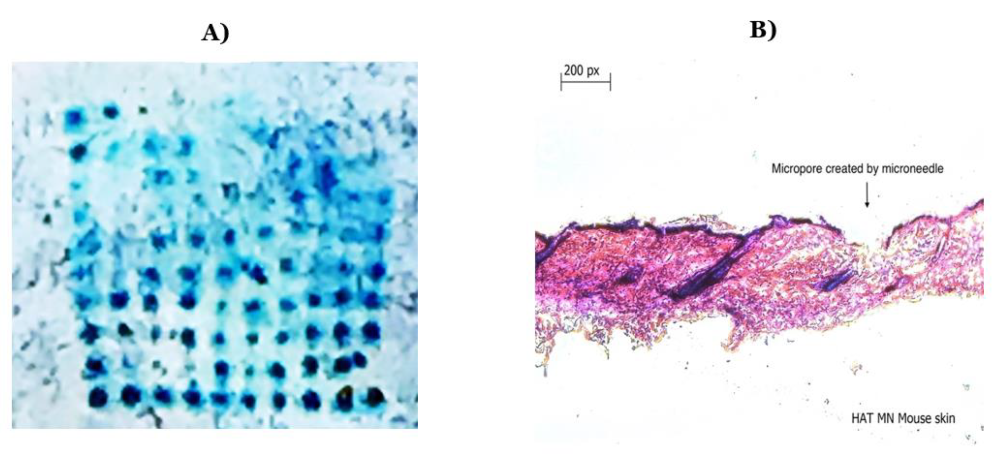 Vaccines 11 00866 g003 Vaccines 11 00866 g003