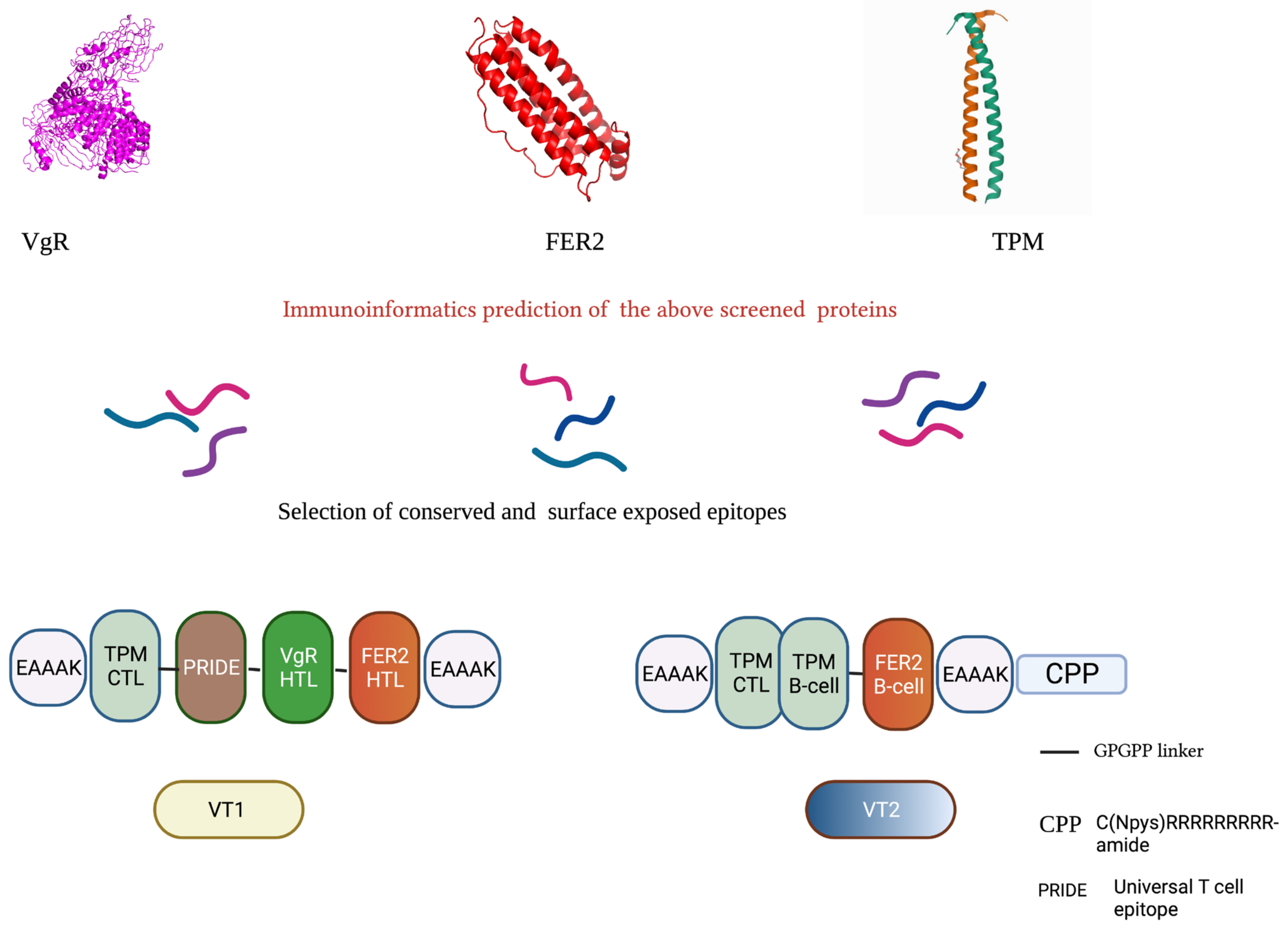 Vaccines 11 00881 g001