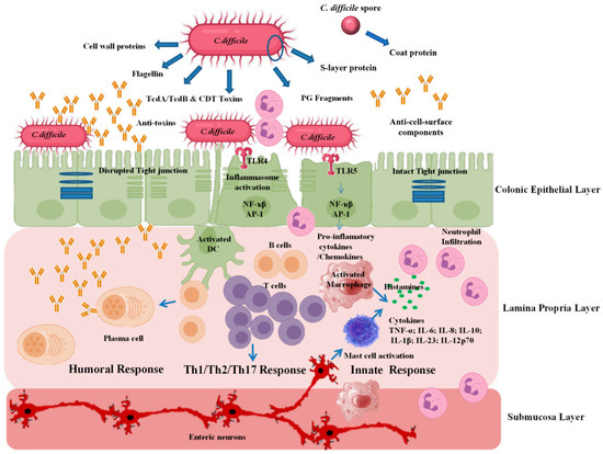 Vaccines 11 00887 g002