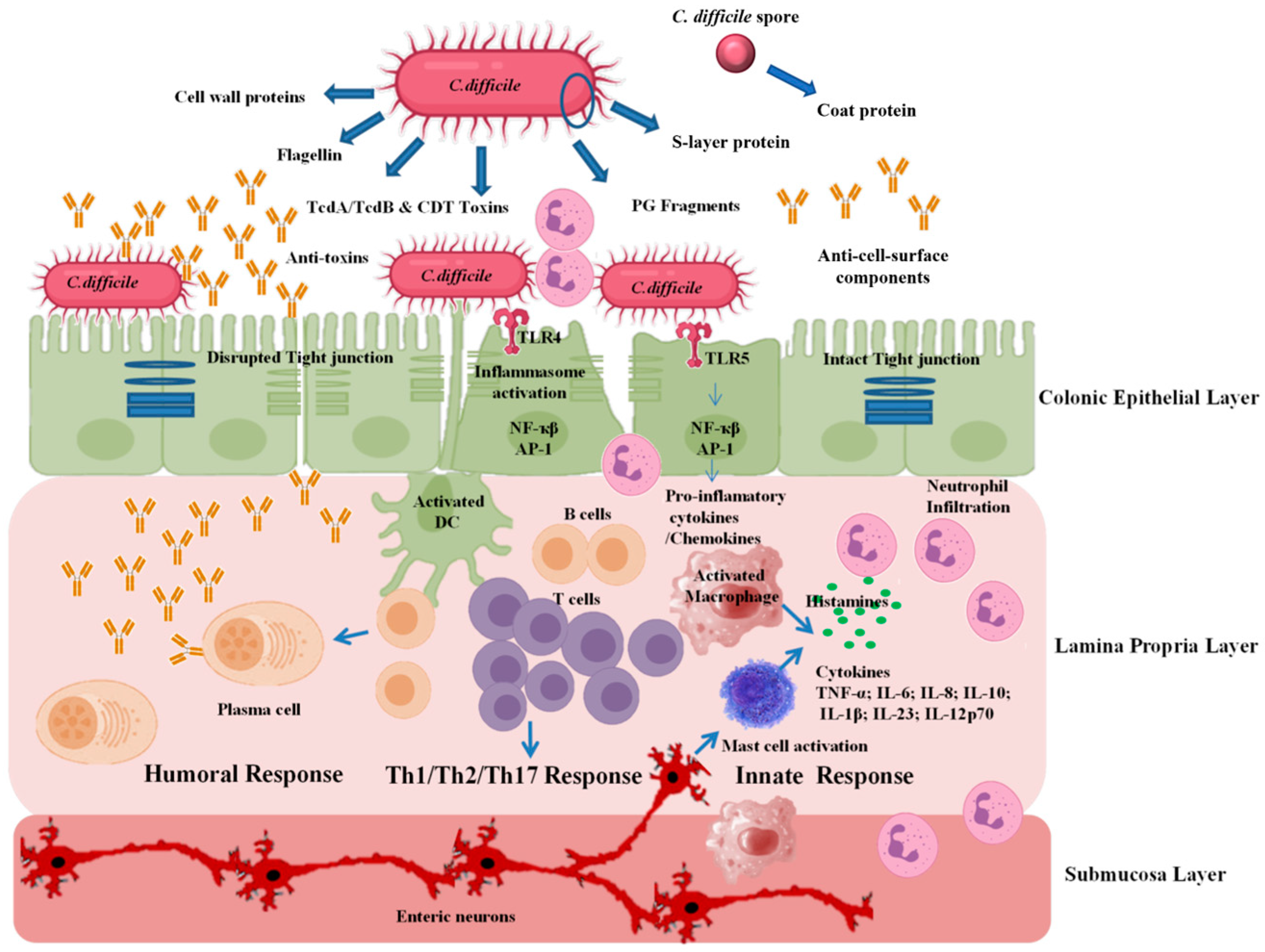 Vaccines 11 00887 g002