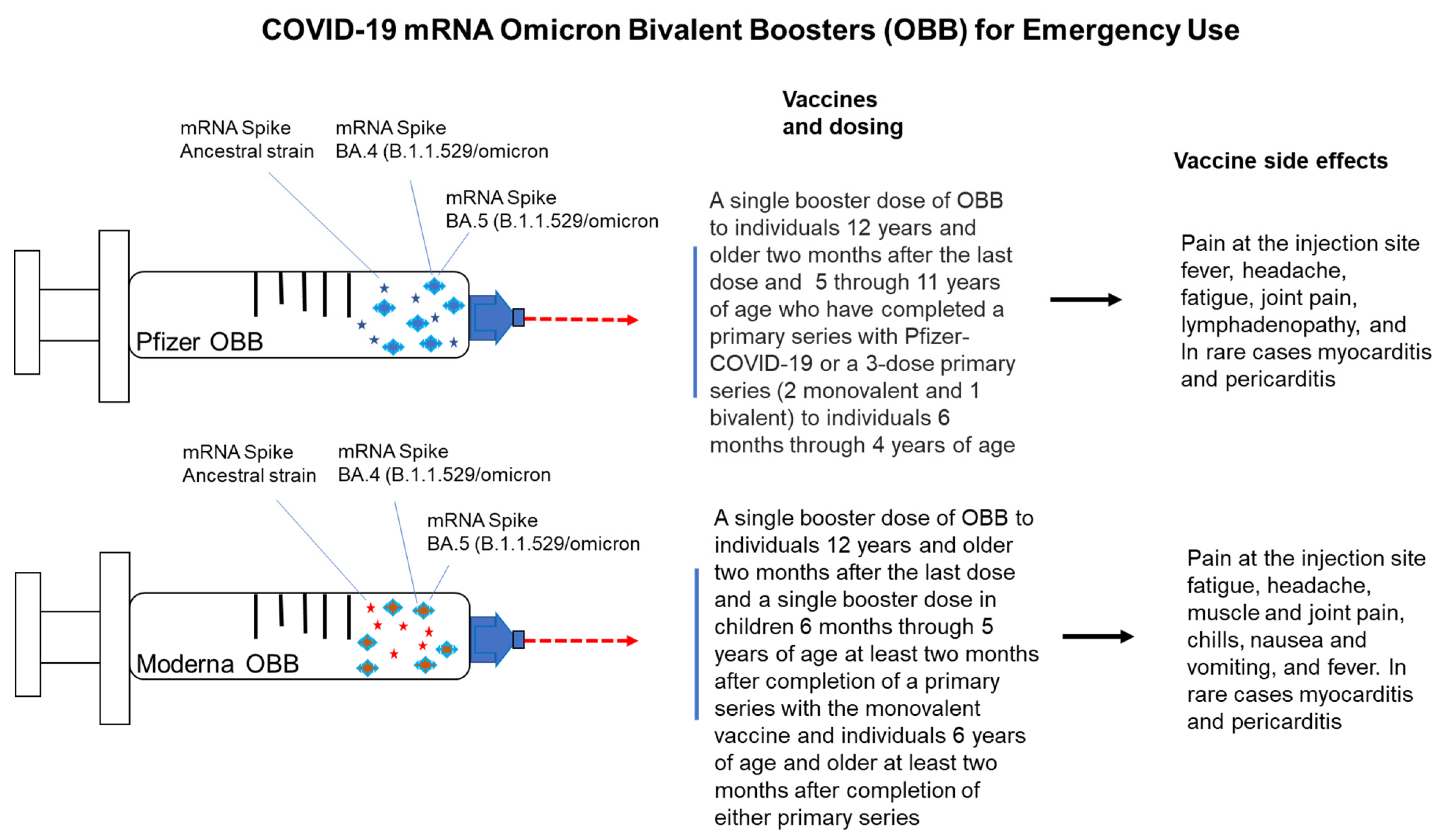 Vaccines 11 00906 g001