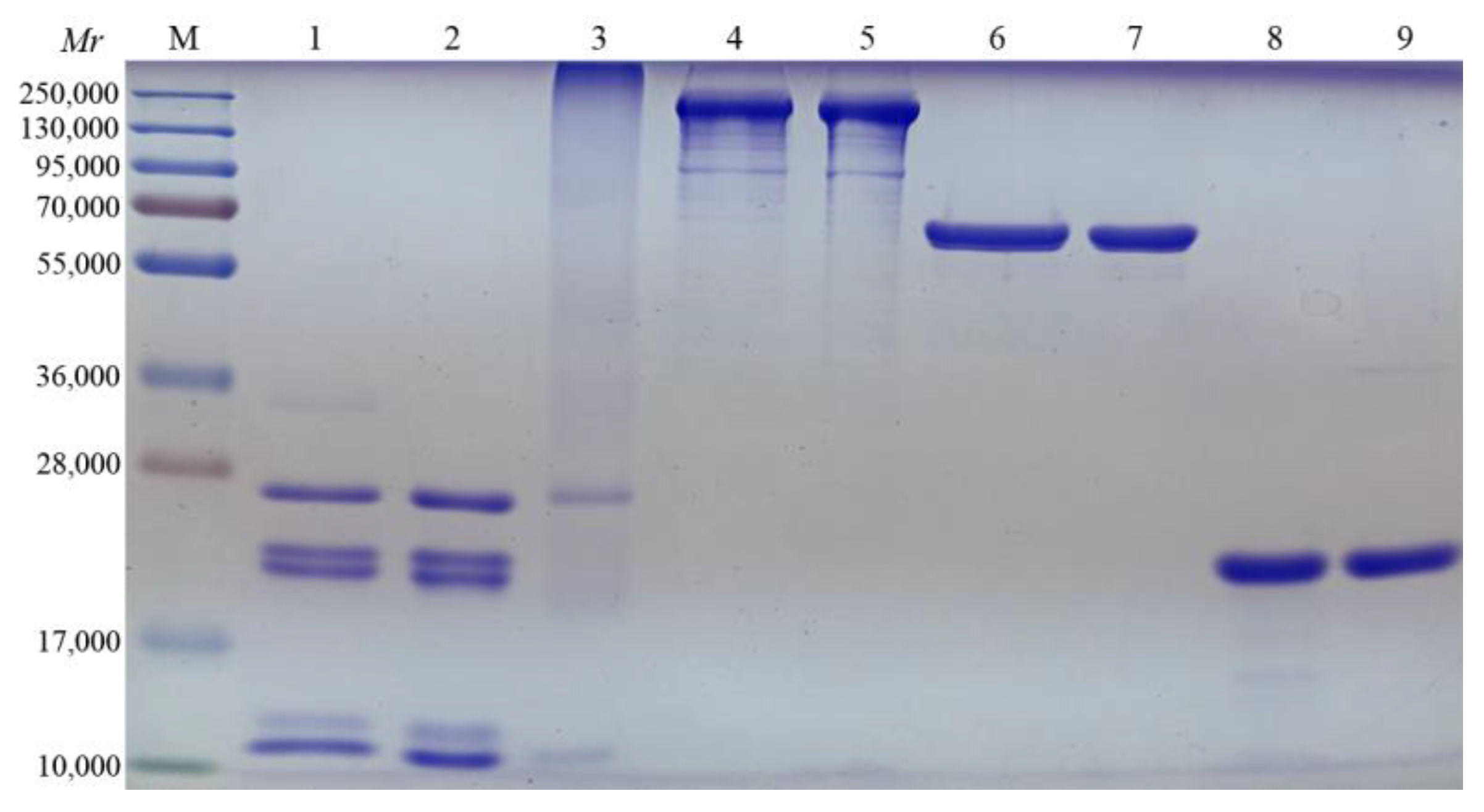 Vaccines 11 00914 g001