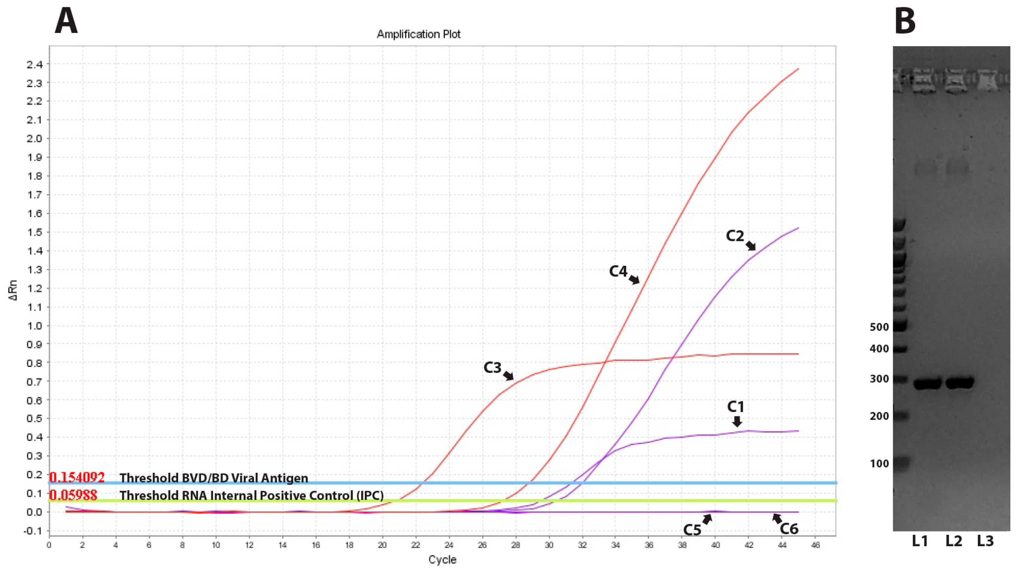 Vaccines 11 00918 g002