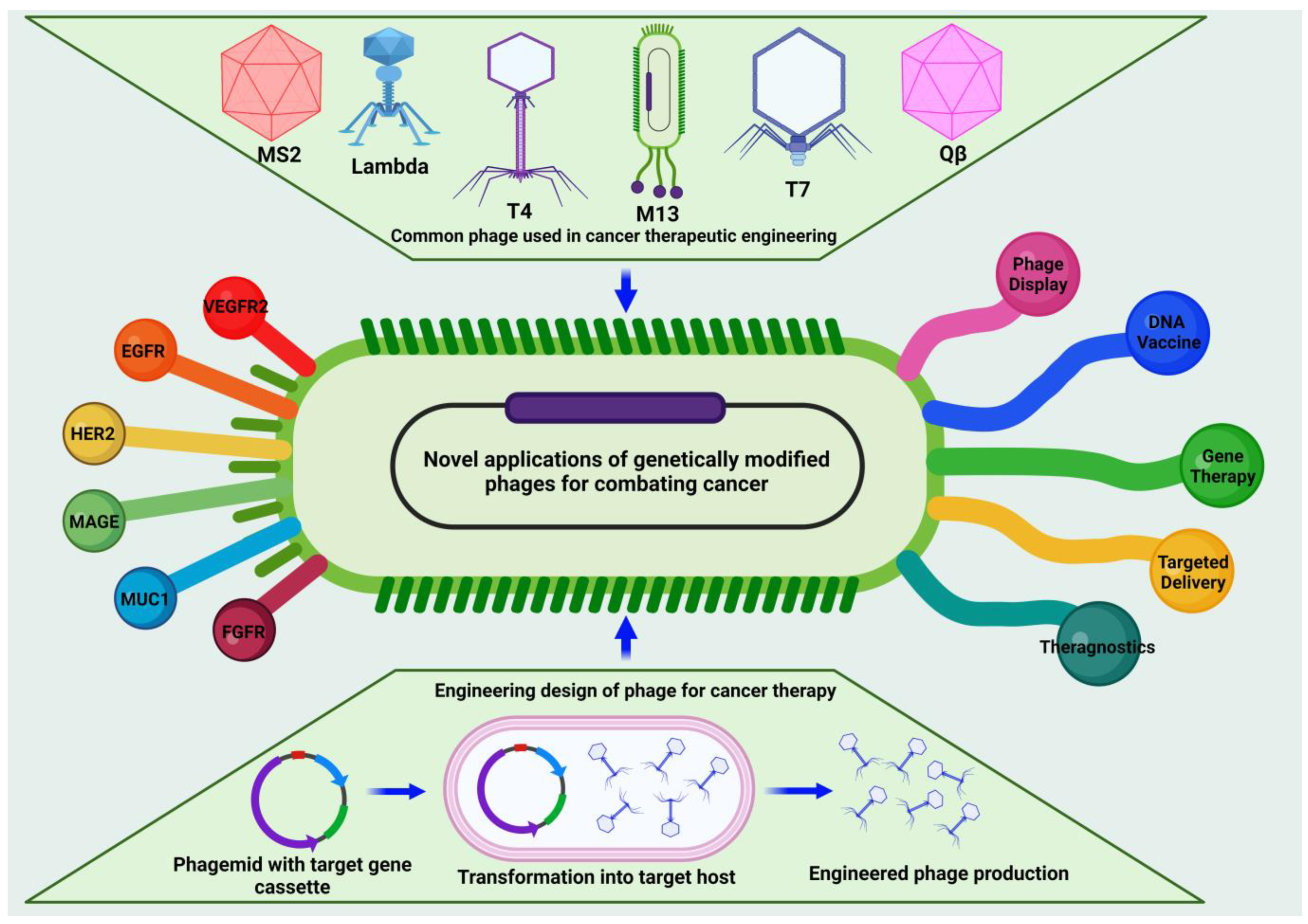 Vaccines 11 00919 g001