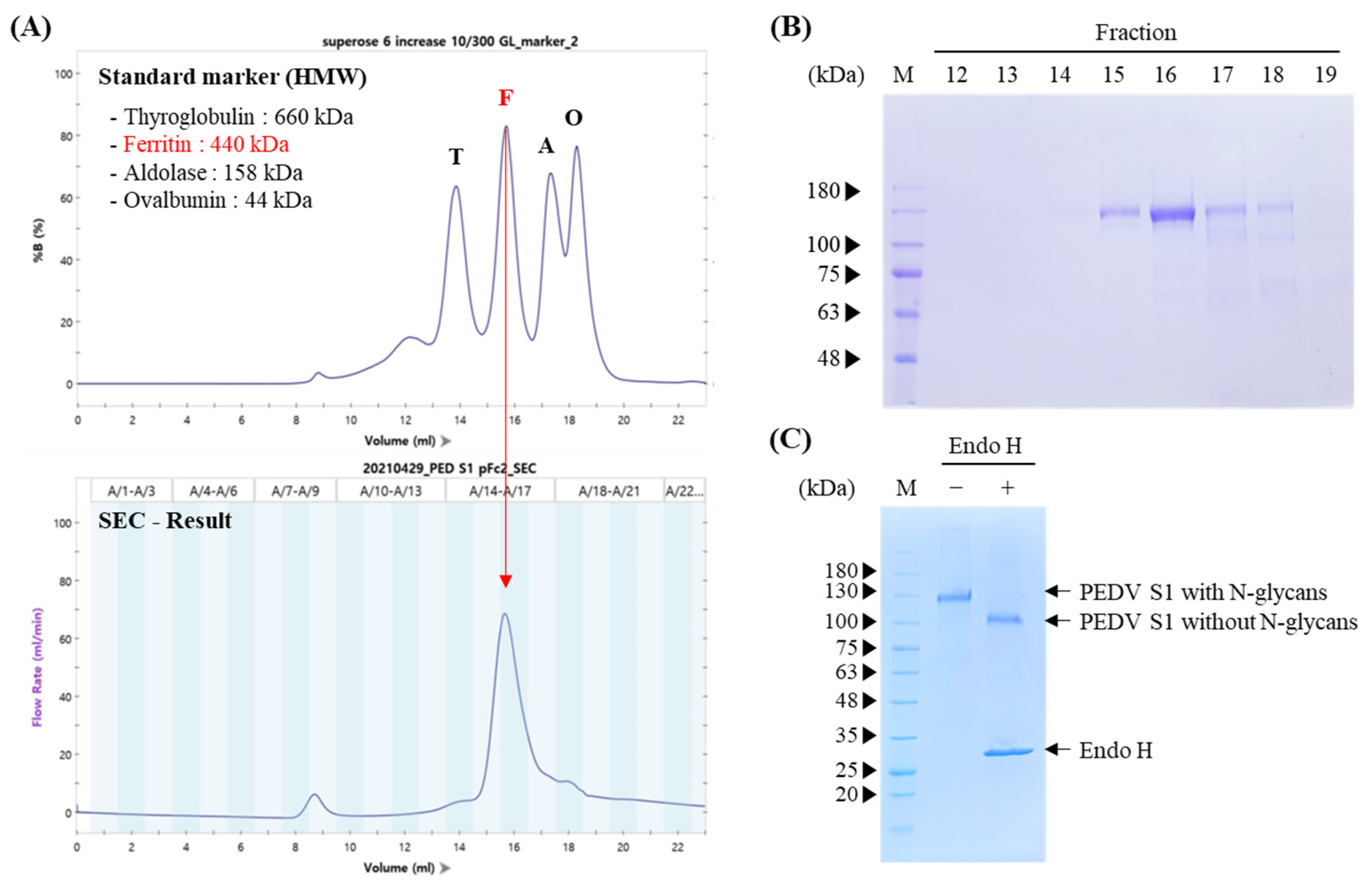 Vaccines 11 00965 g002 Vaccines 11 00965 g002