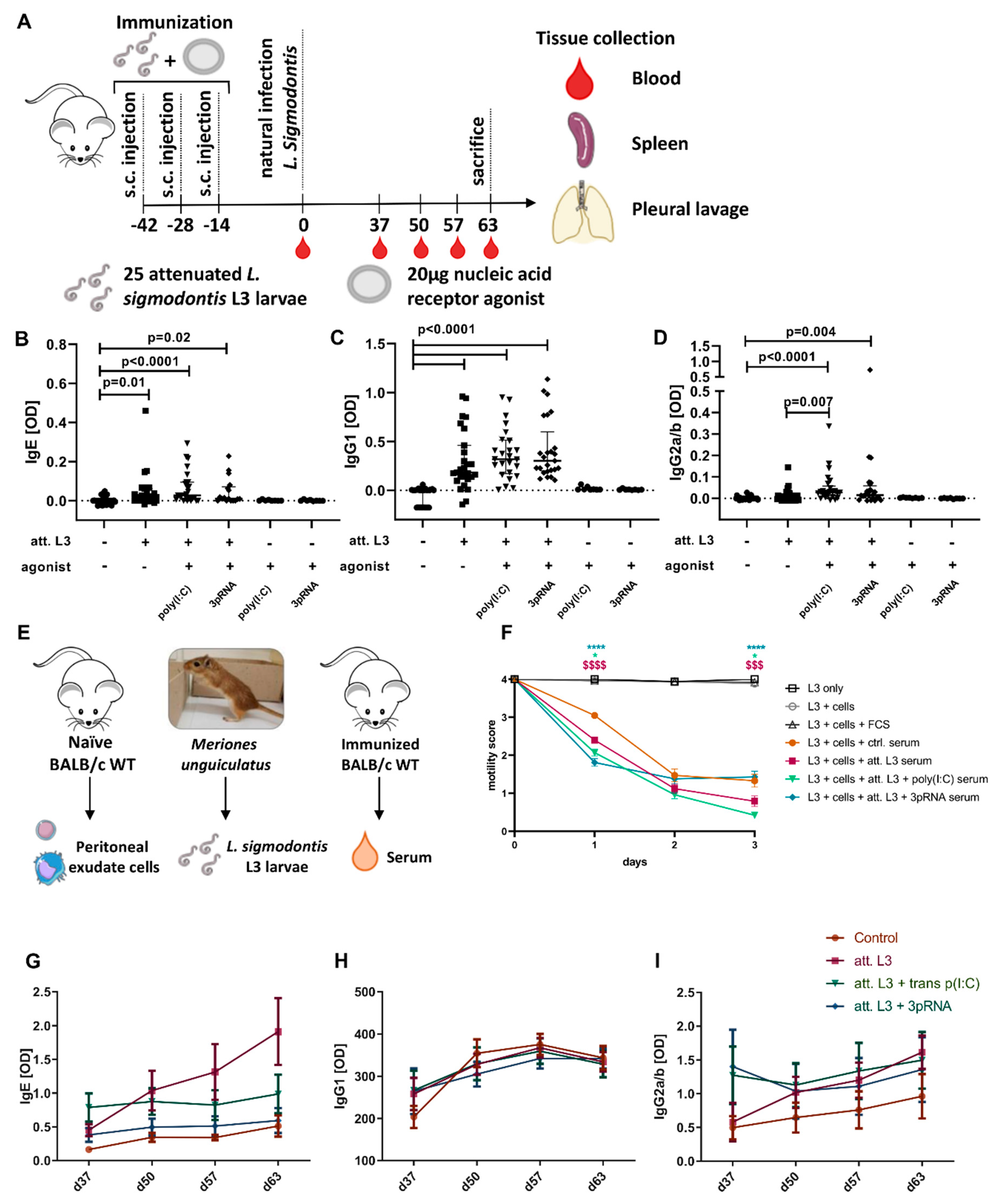 Vaccines 11 00966 g002
