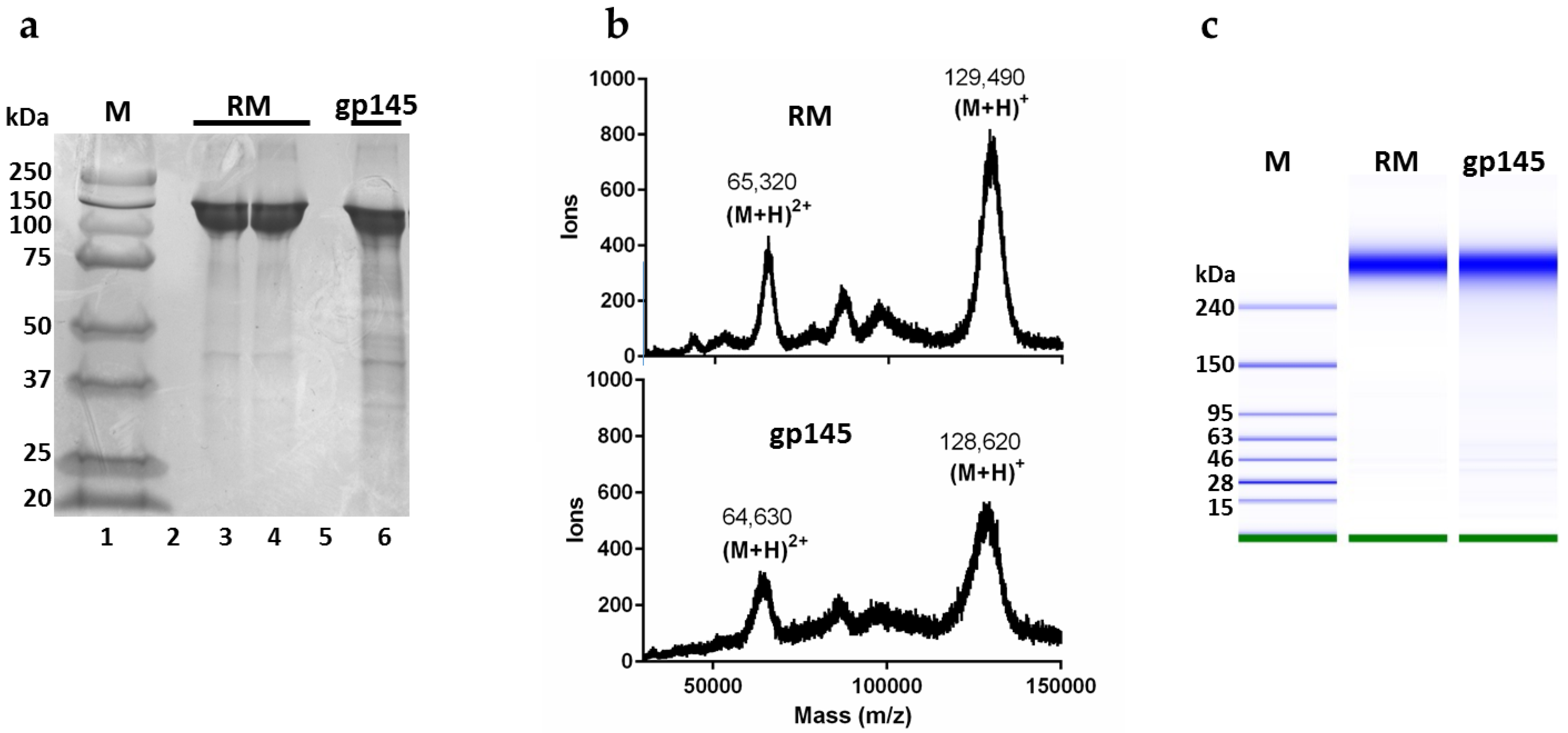 Vaccines 11 00975 g003