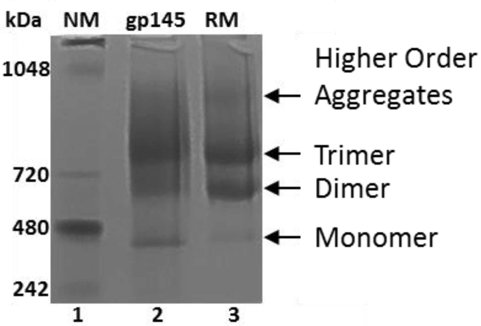 Vaccines 11 00975 g006