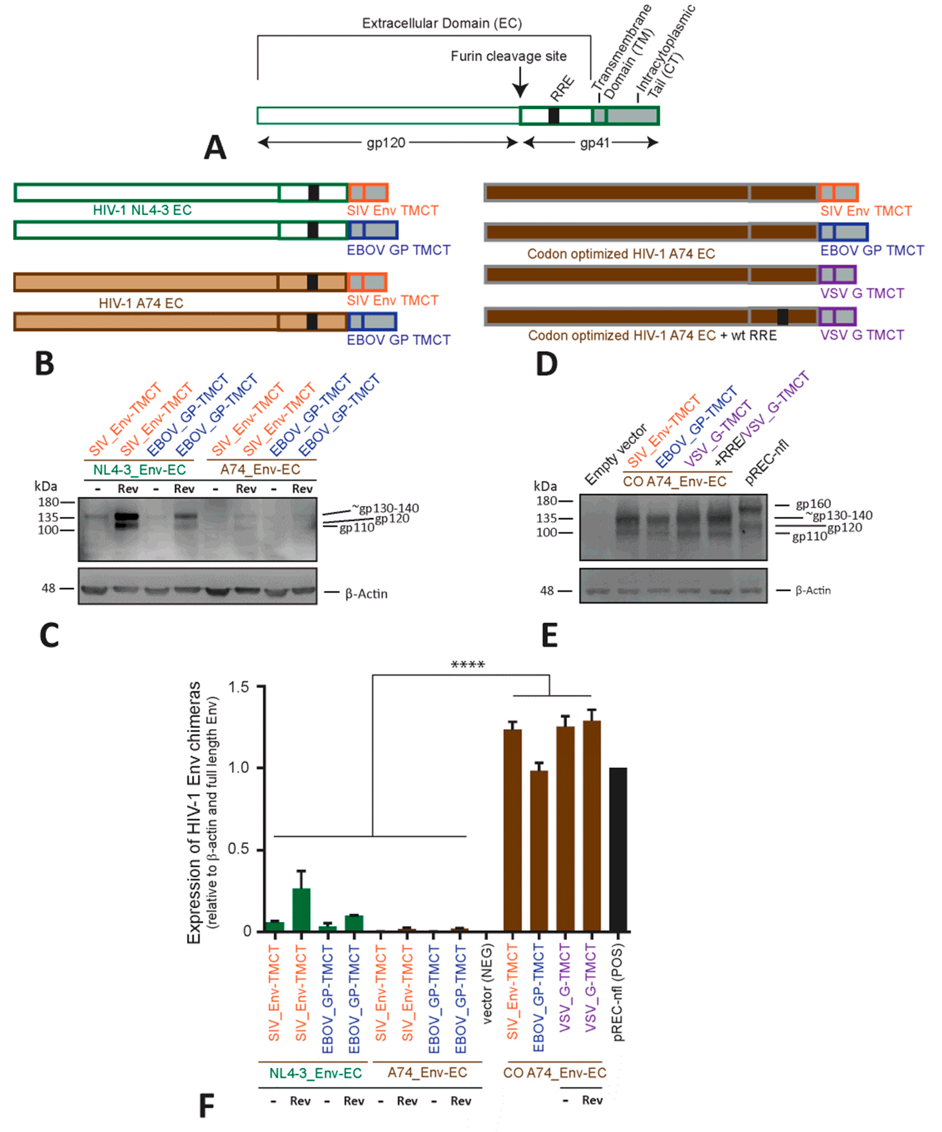 Vaccines 11 00977 g002